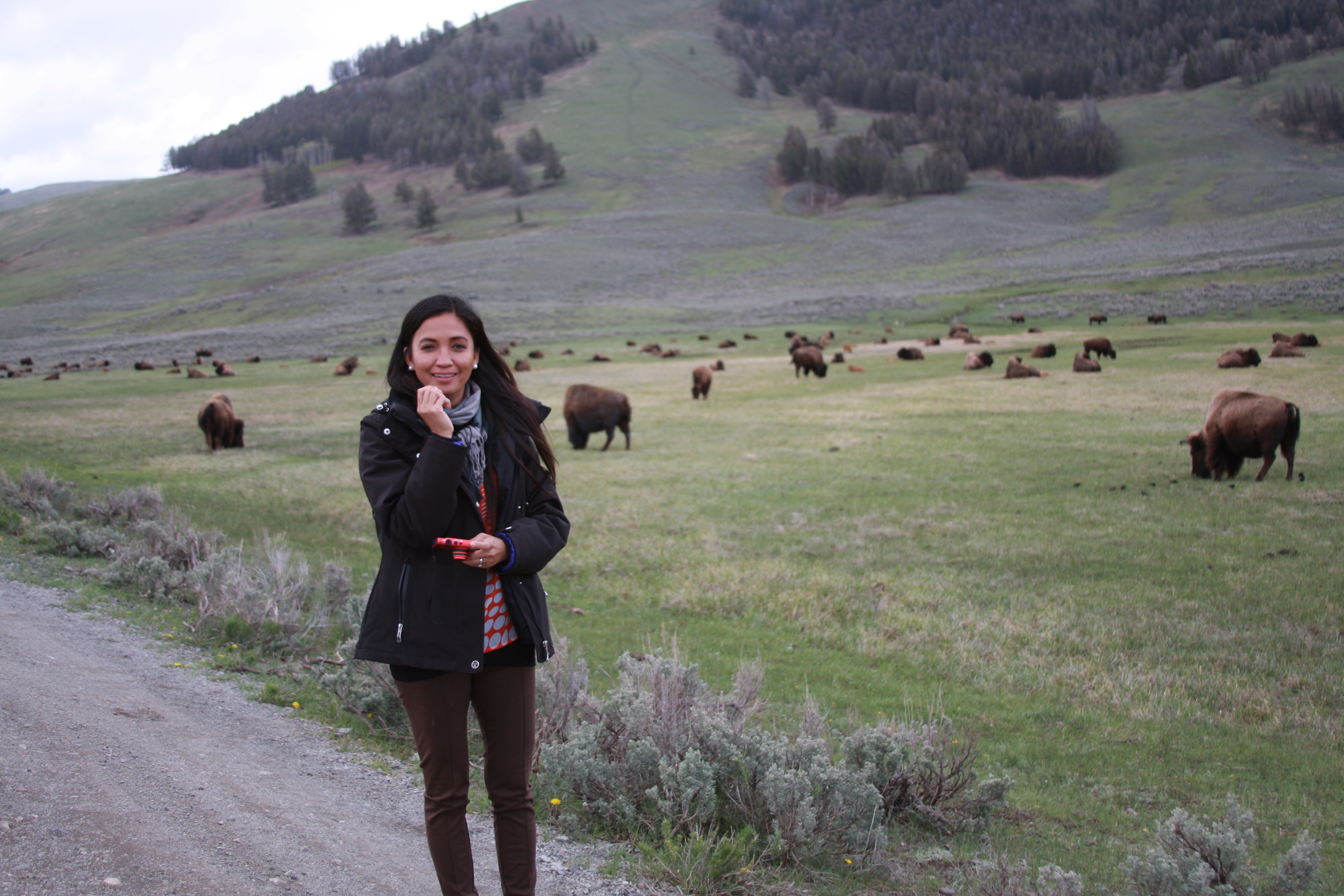 Teton, Yellowstone, May 2013 250