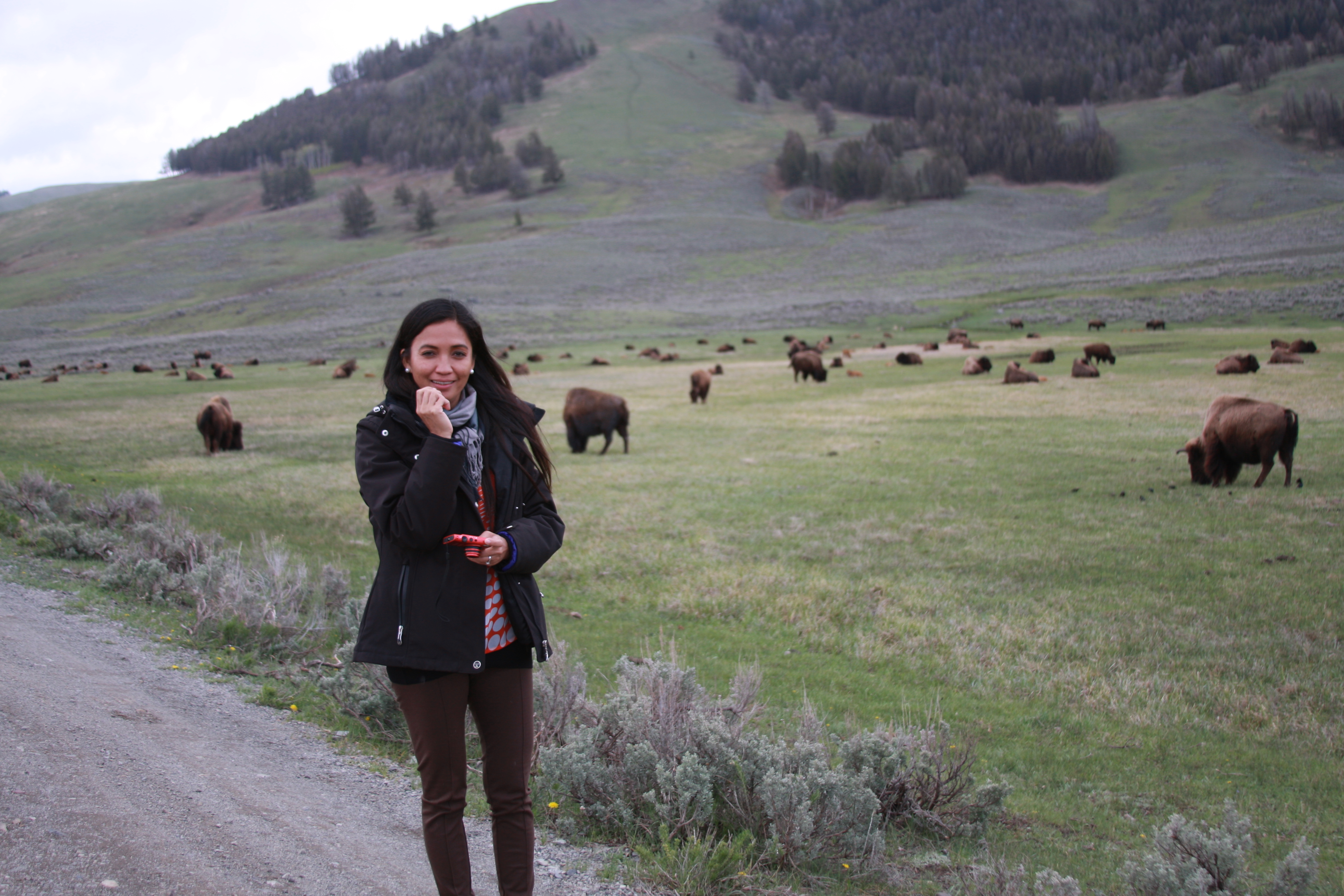 Teton, Yellowstone, May 2013 251