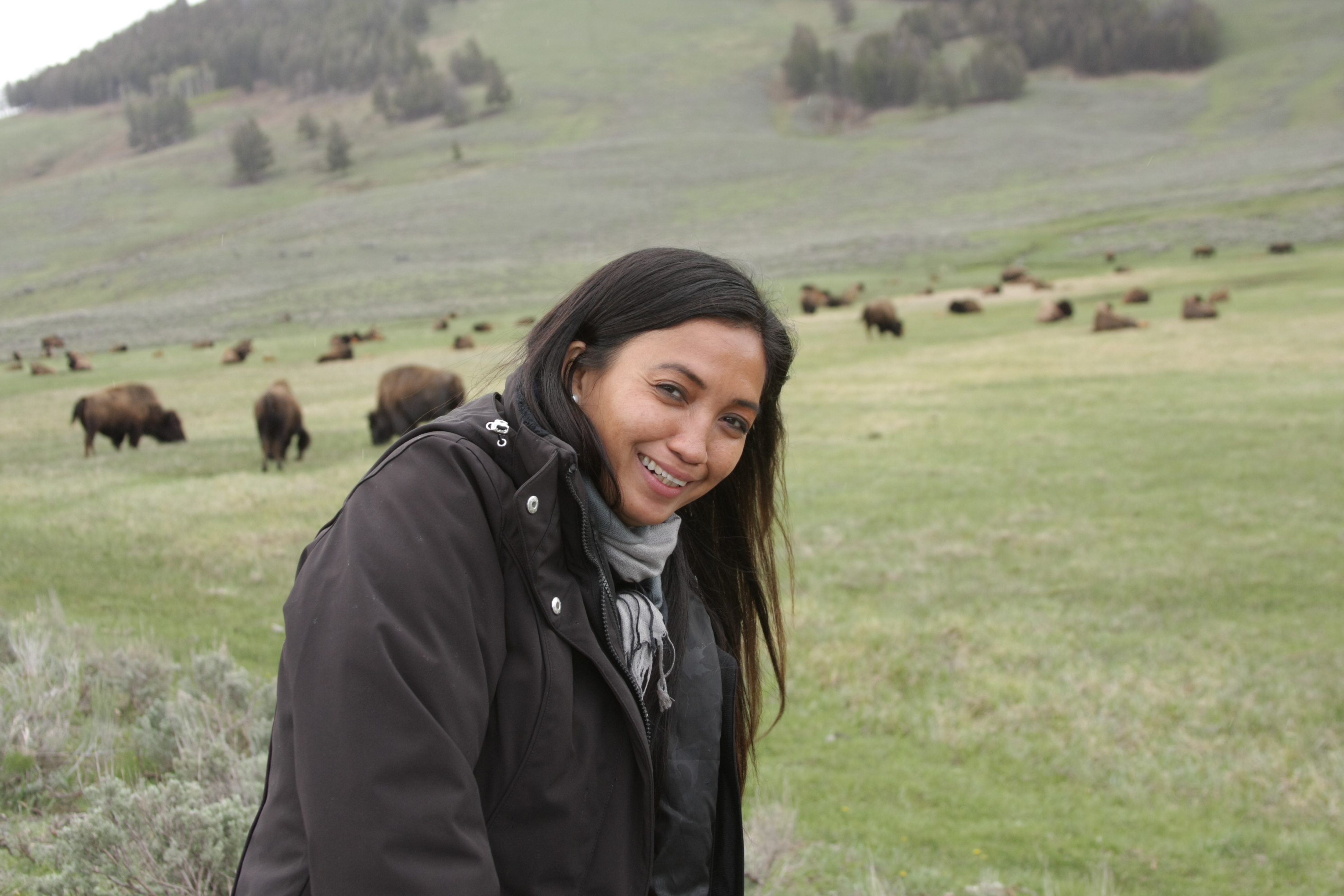 Teton, Yellowstone, May 2013 258