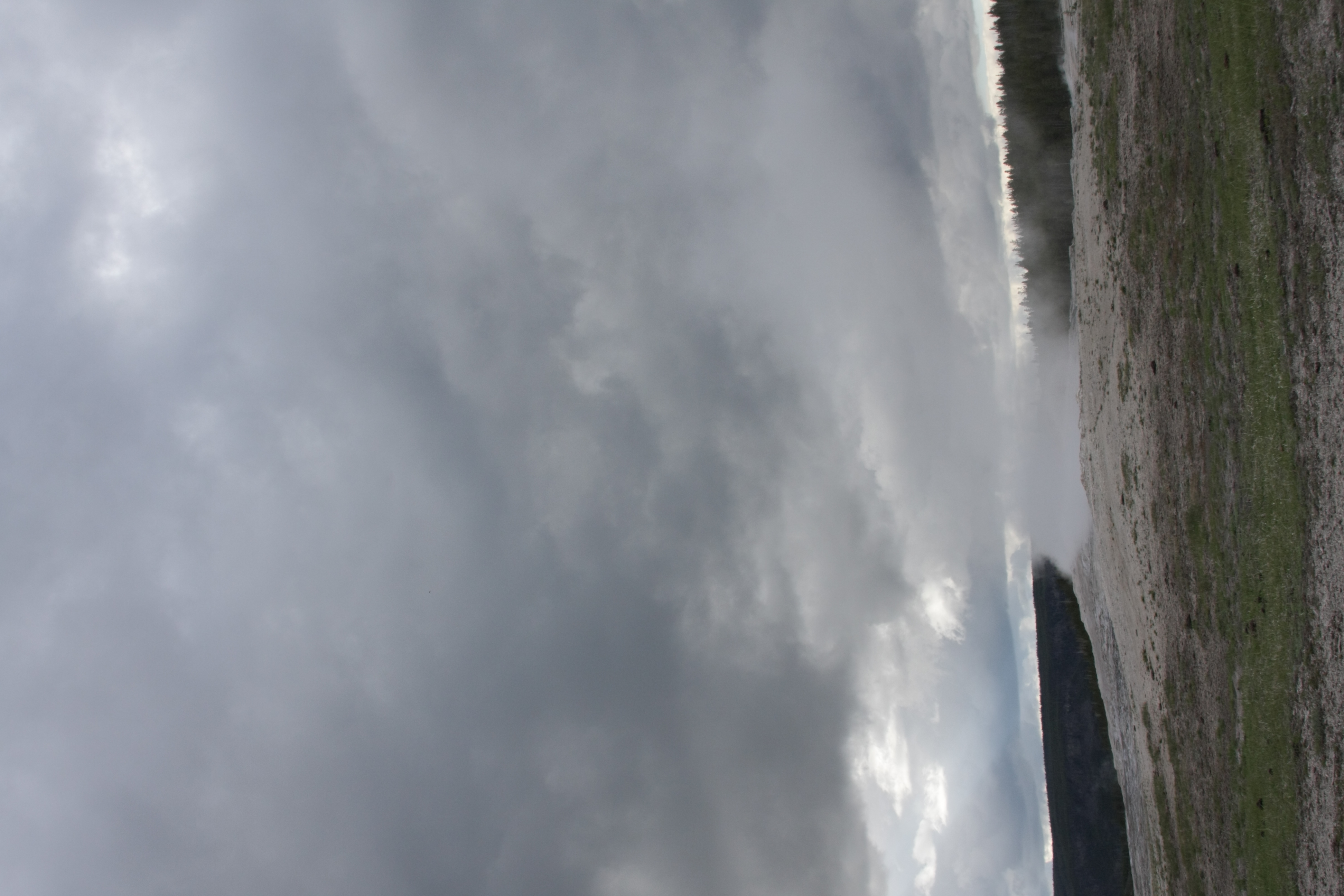 Teton, Yellowstone, May 2013 264