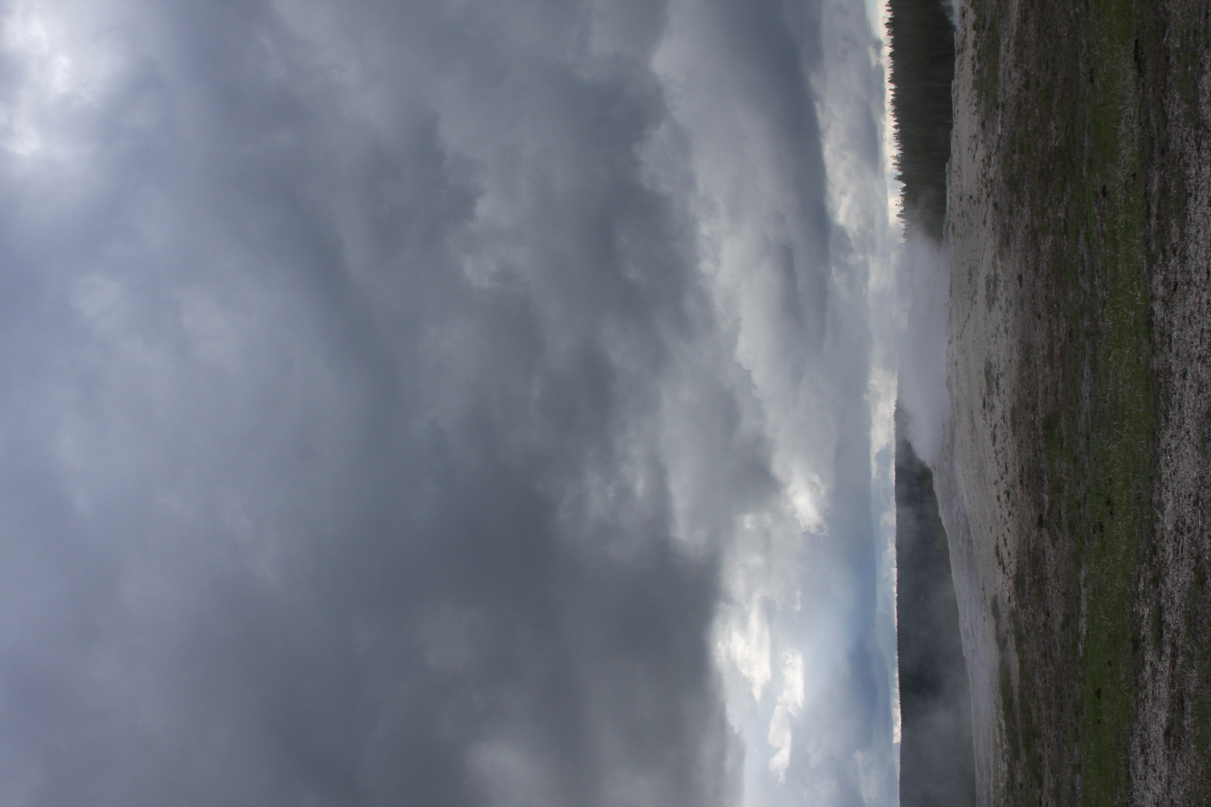 Teton, Yellowstone, May 2013 265