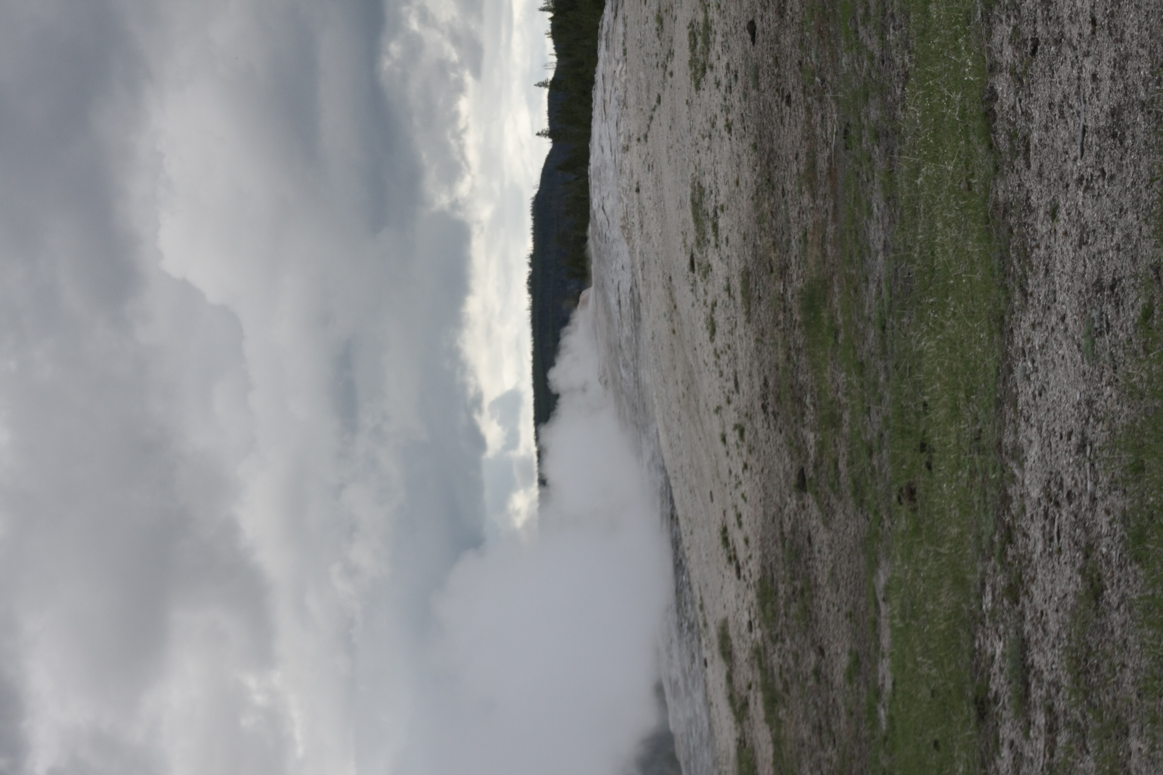 Teton, Yellowstone, May 2013 266