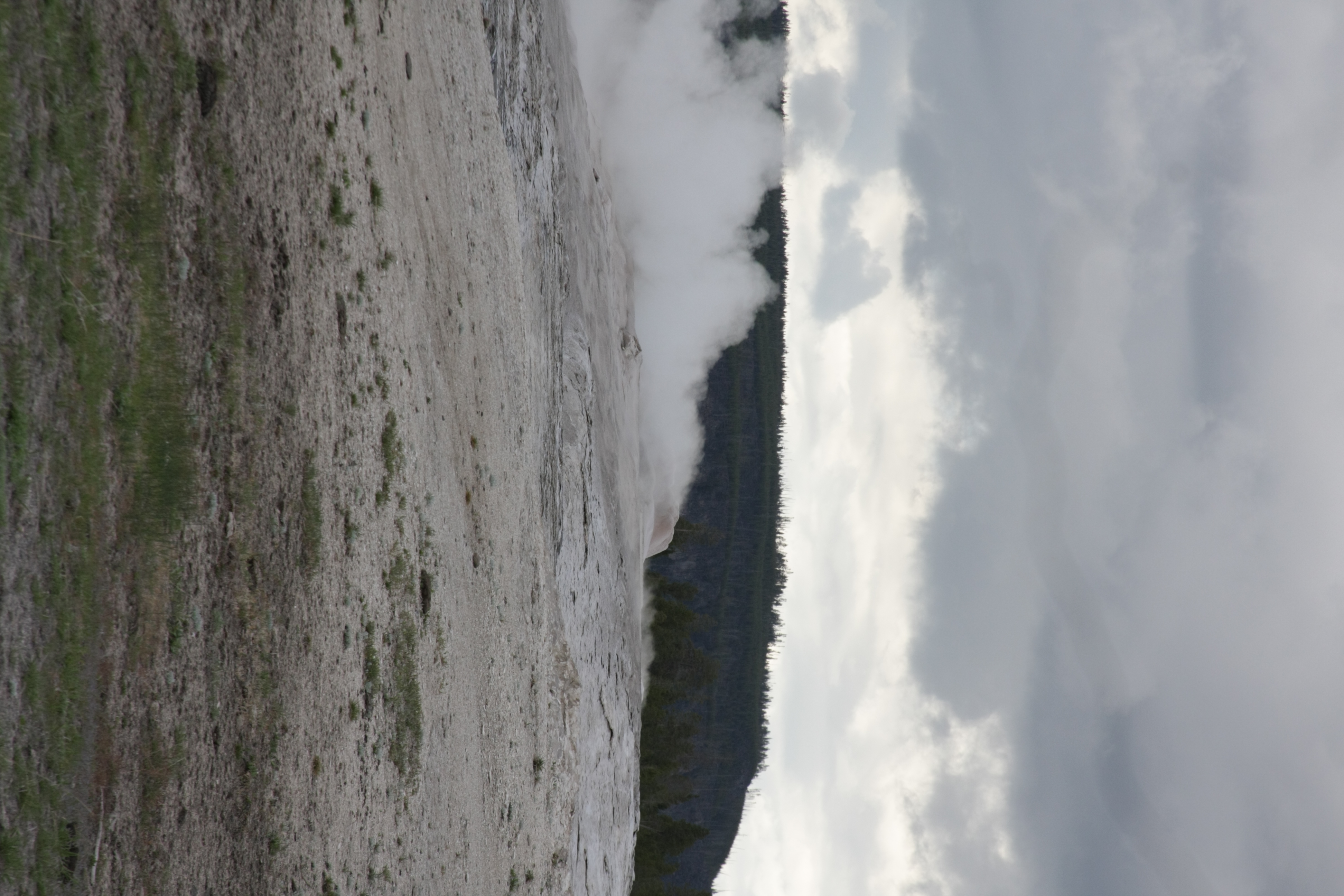 Teton, Yellowstone, May 2013 270