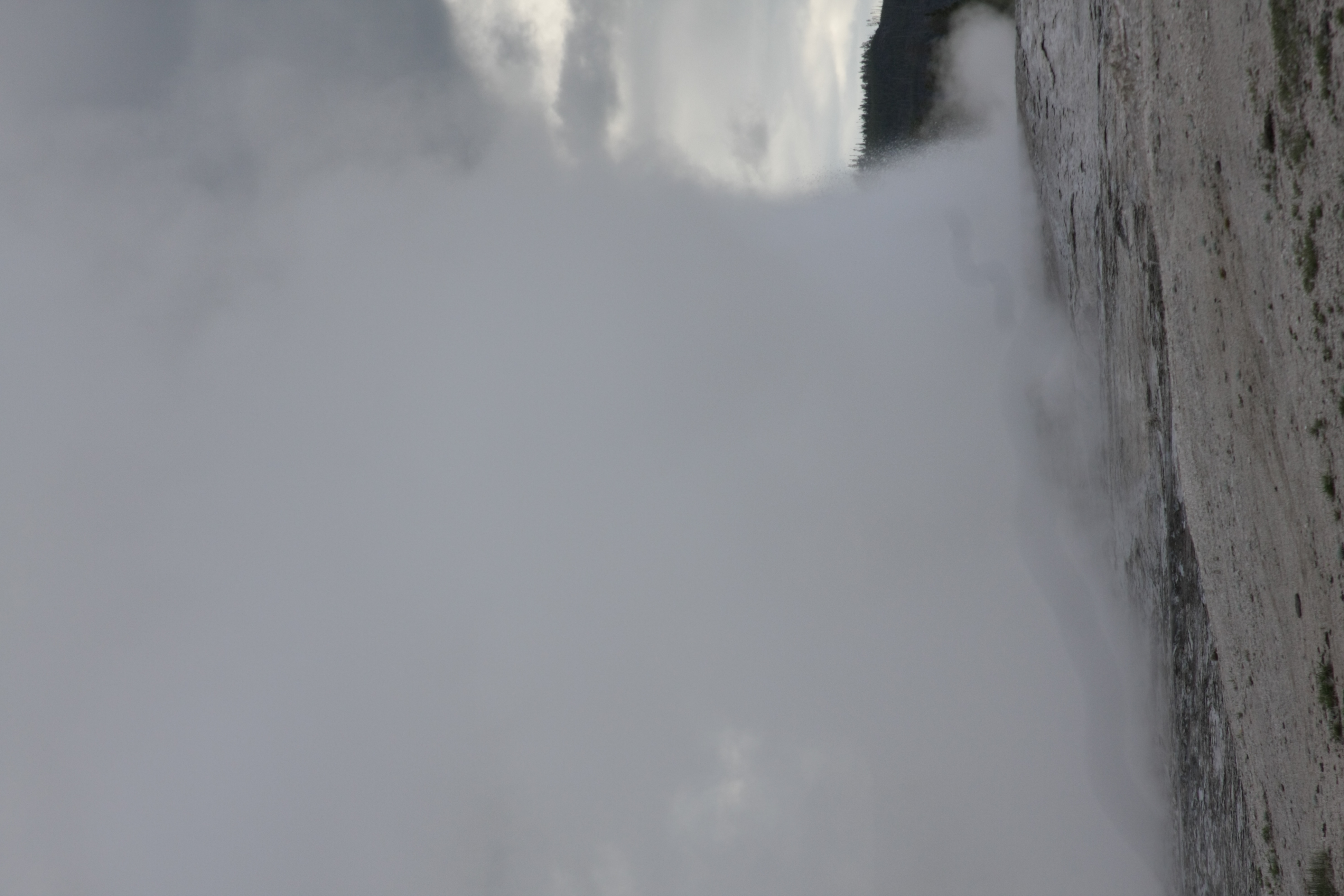 Teton, Yellowstone, May 2013 272