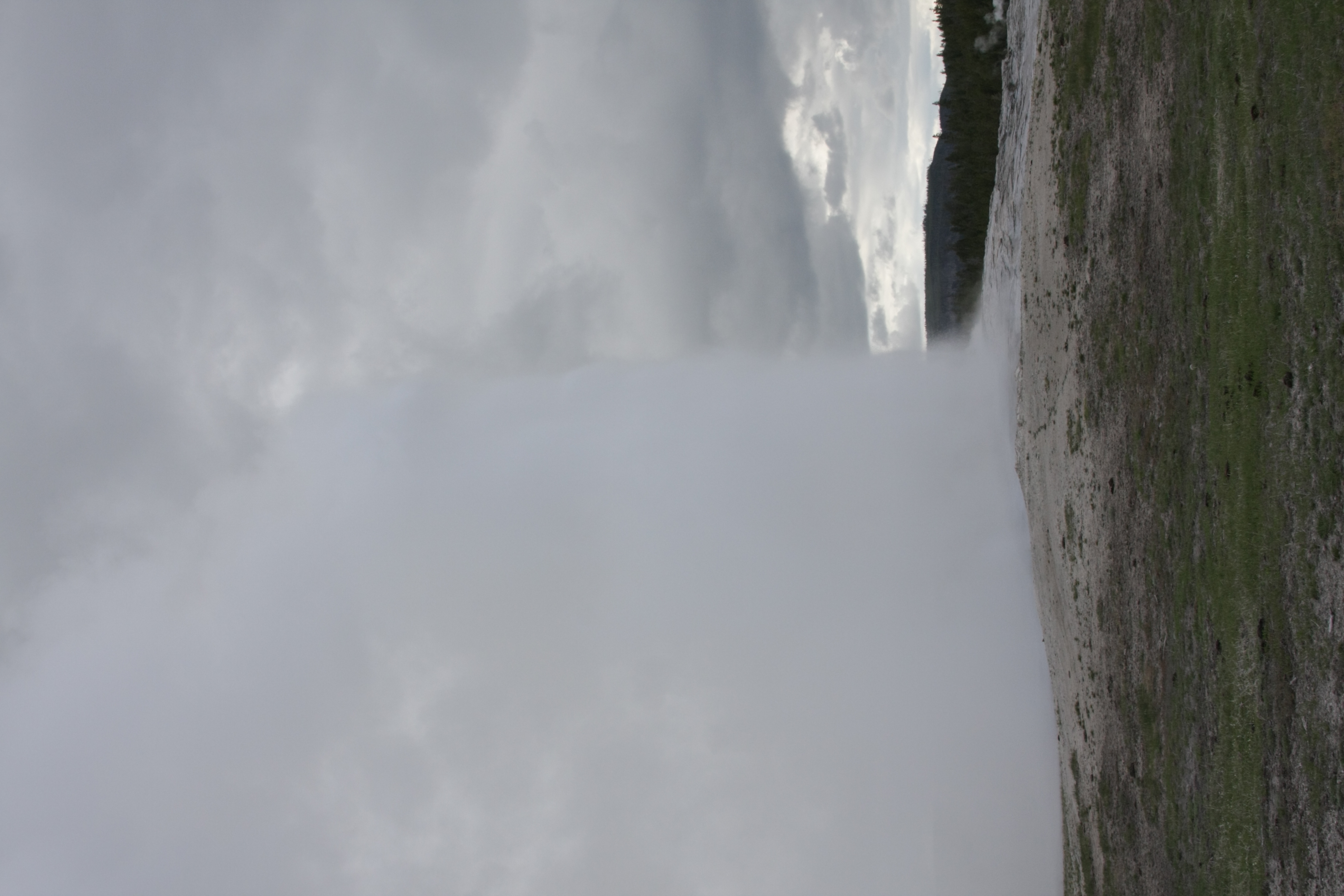 Teton, Yellowstone, May 2013 273