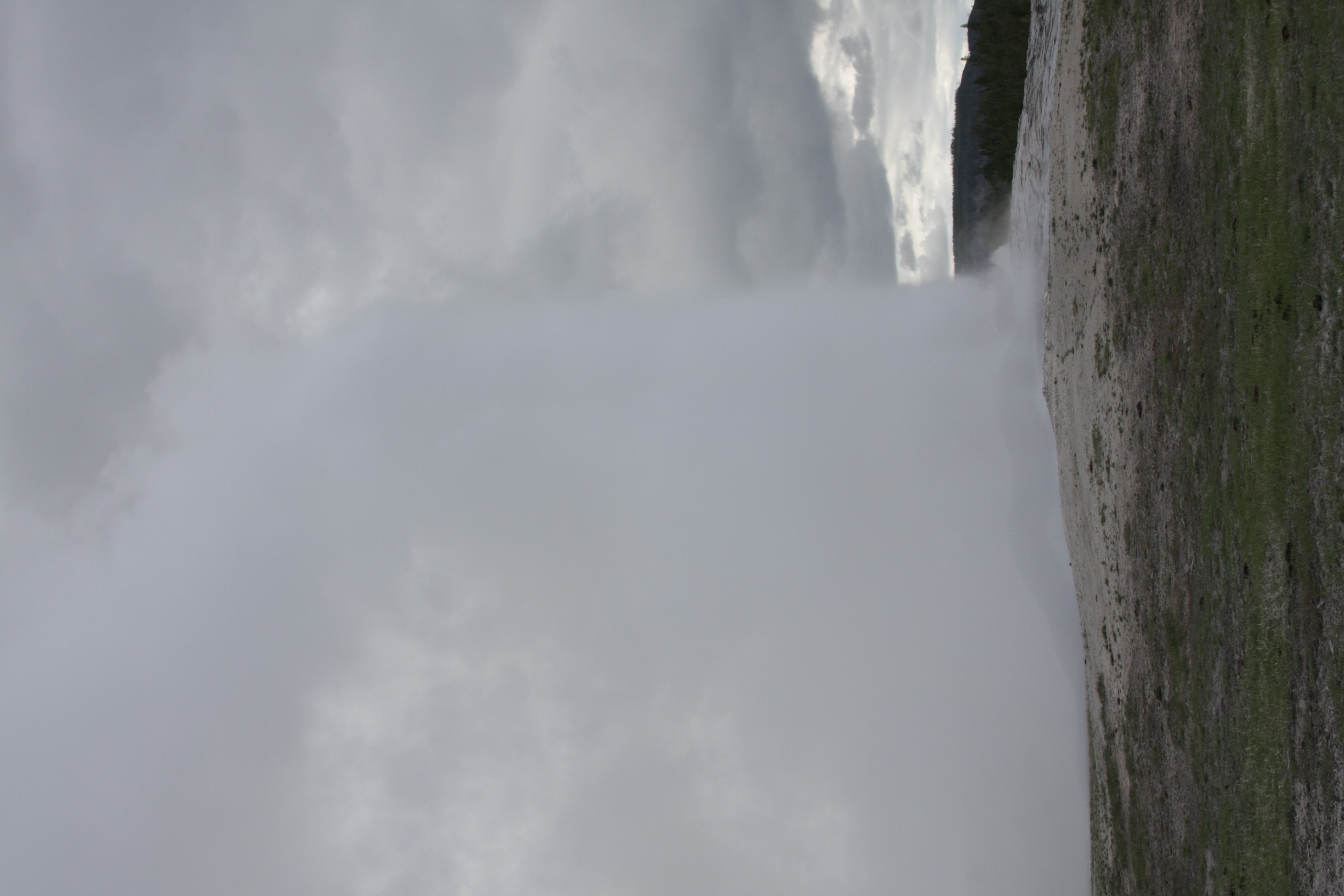 Teton, Yellowstone, May 2013 274