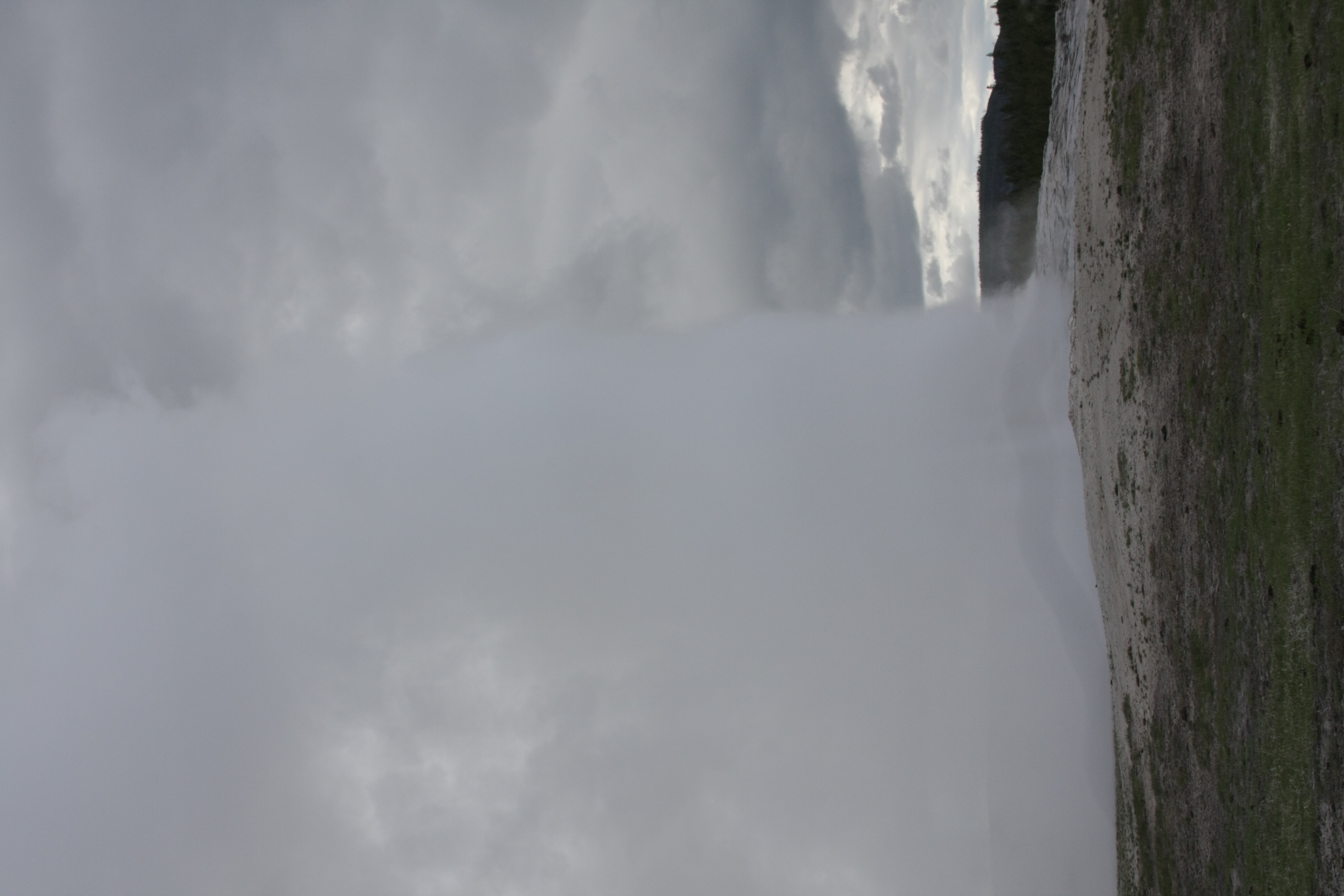 Teton, Yellowstone, May 2013 275