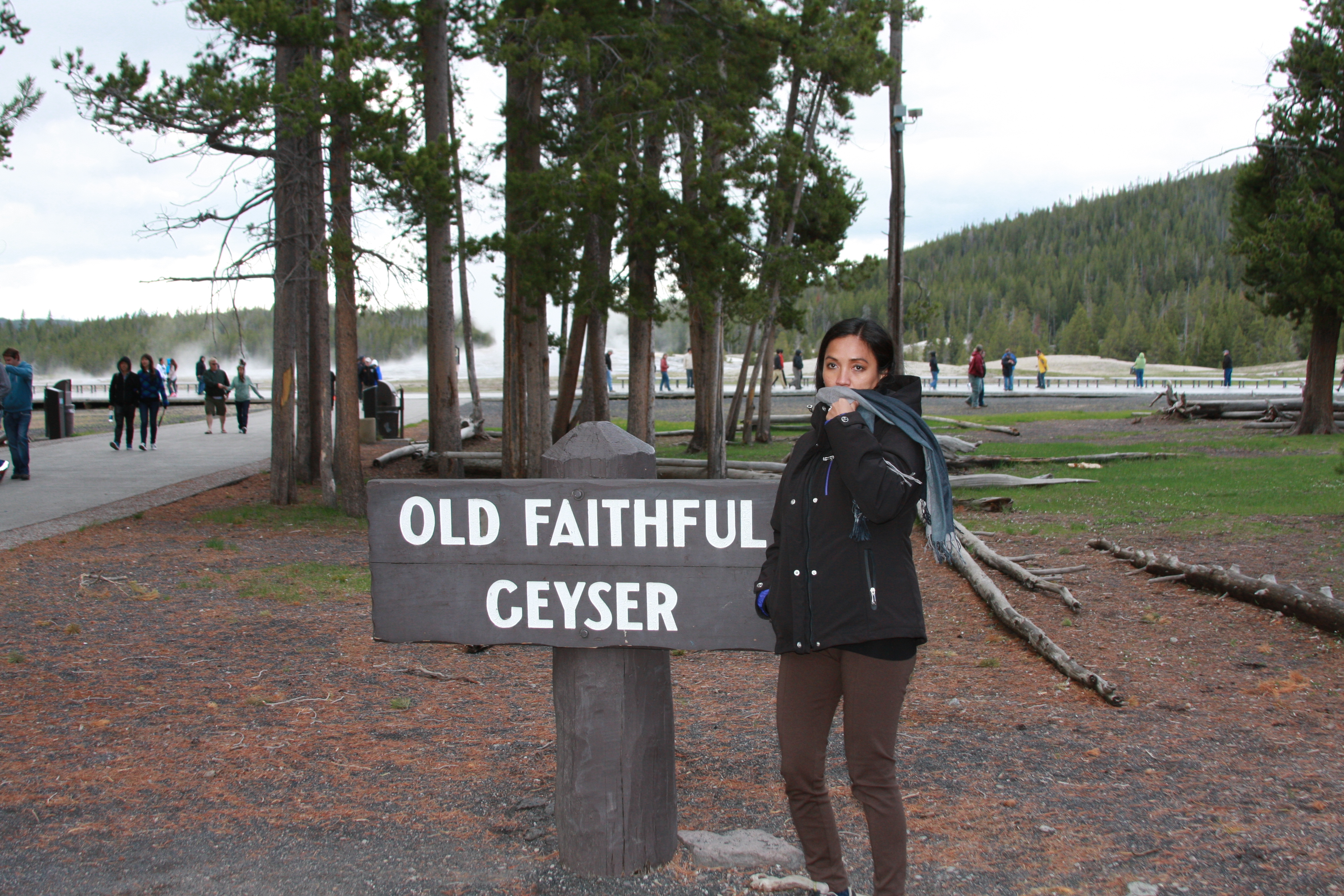 Teton, Yellowstone, May 2013 284