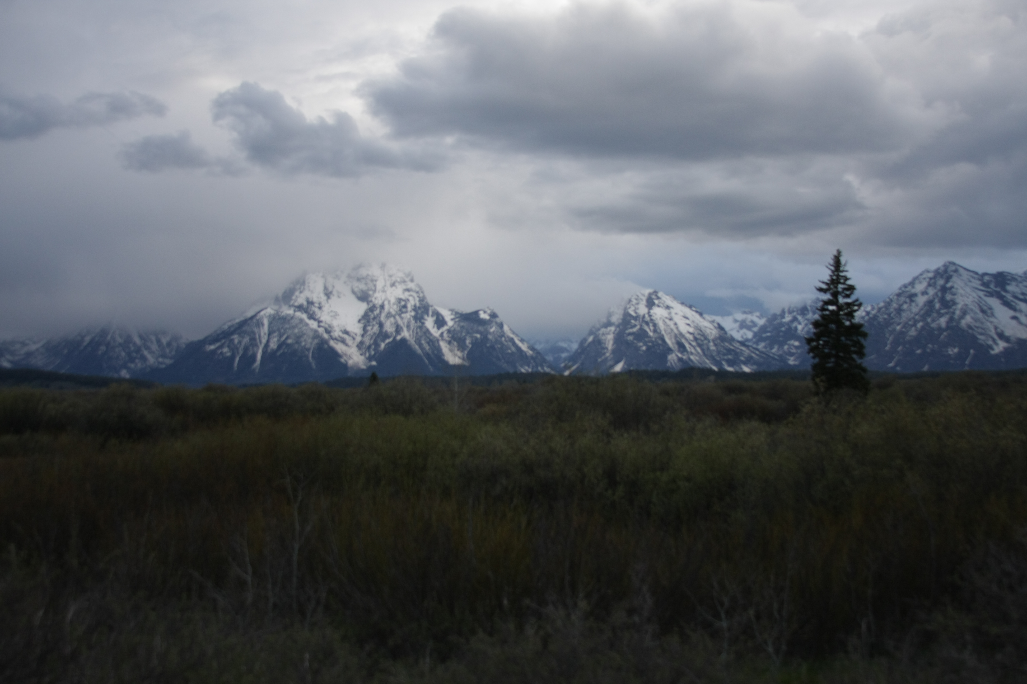 Teton, Yellowstone, May 2013 297