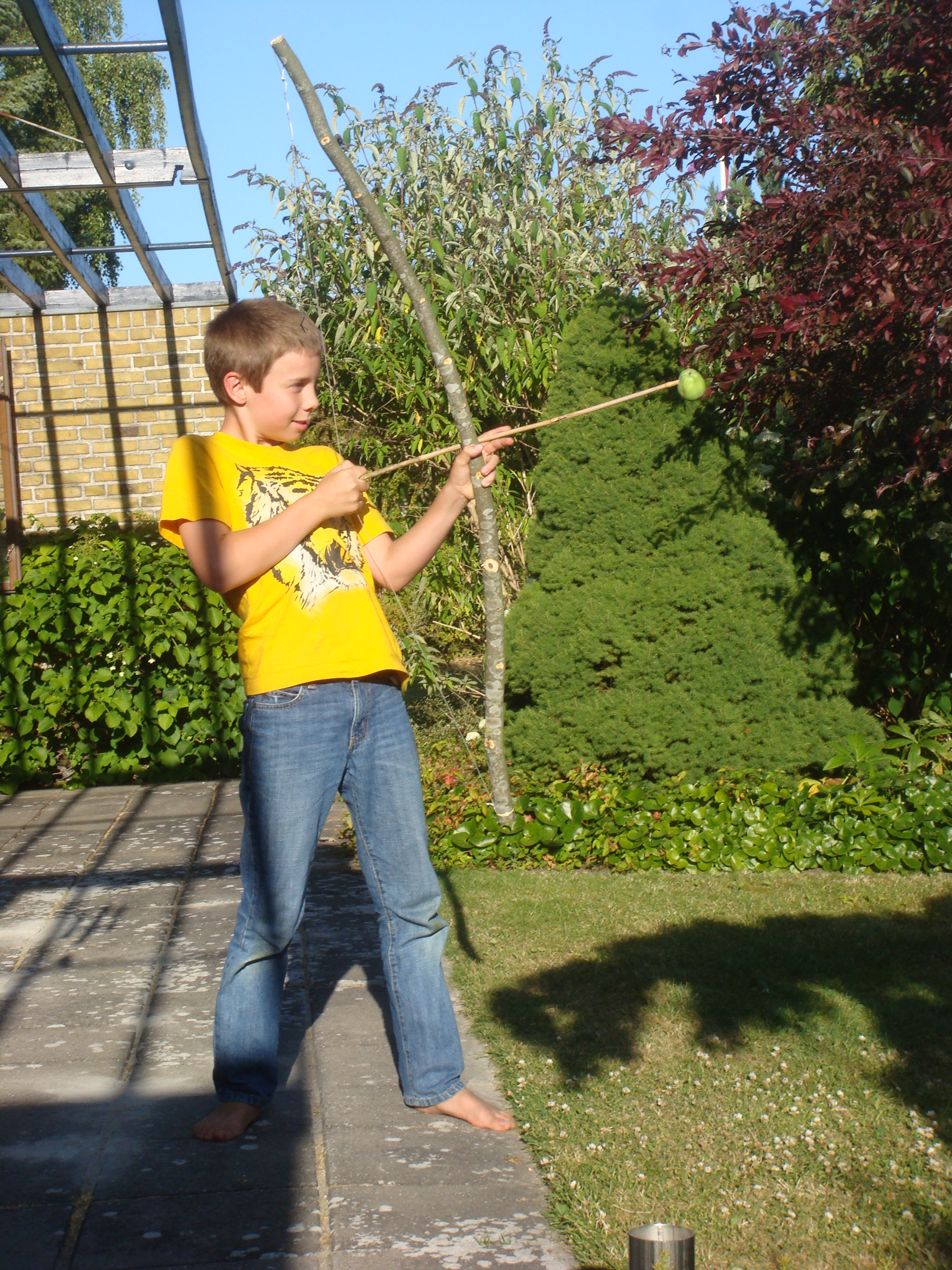 2007 5