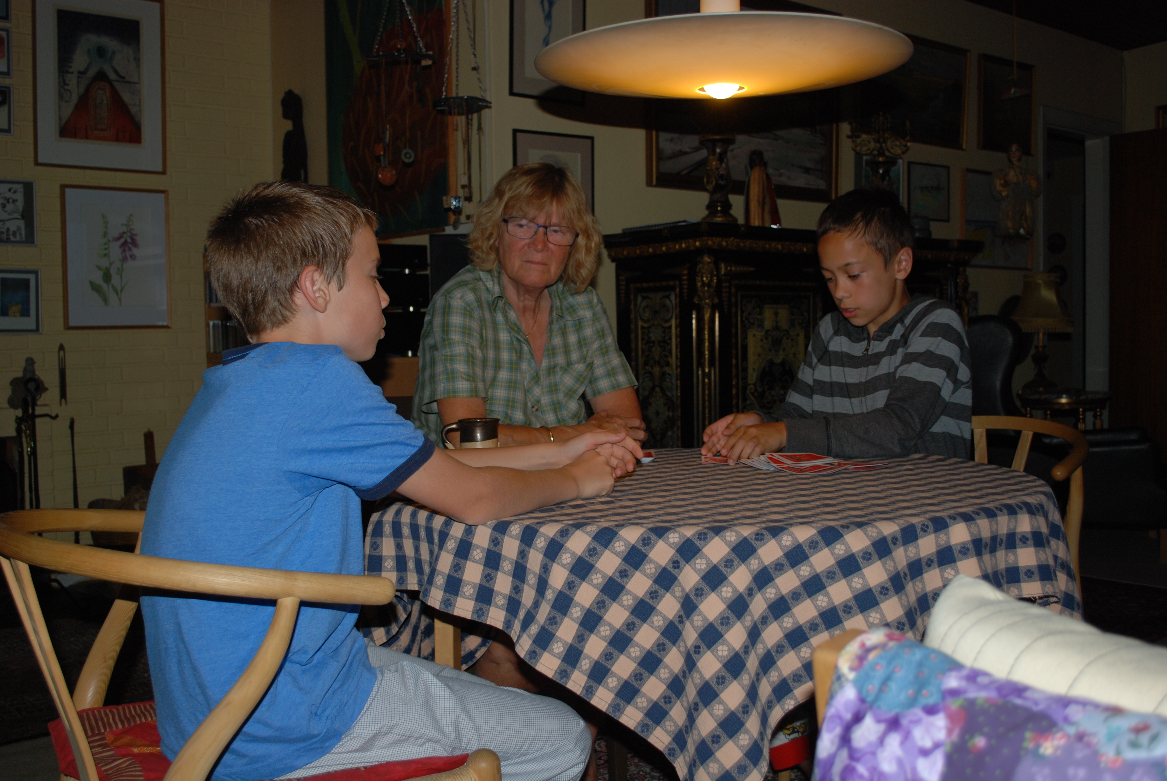 07242013 003 Kortspil