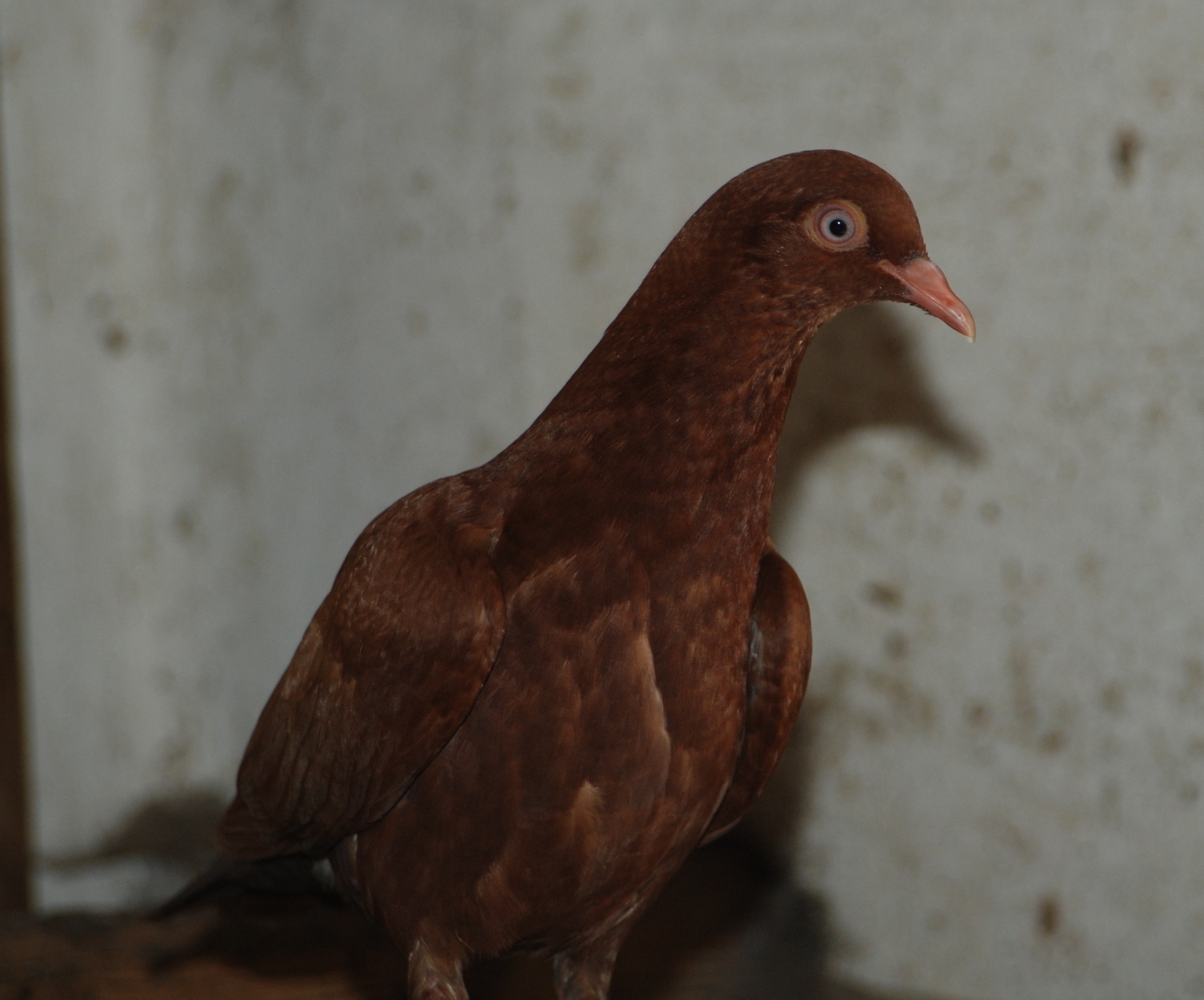 07302013 181 Mosbjerg