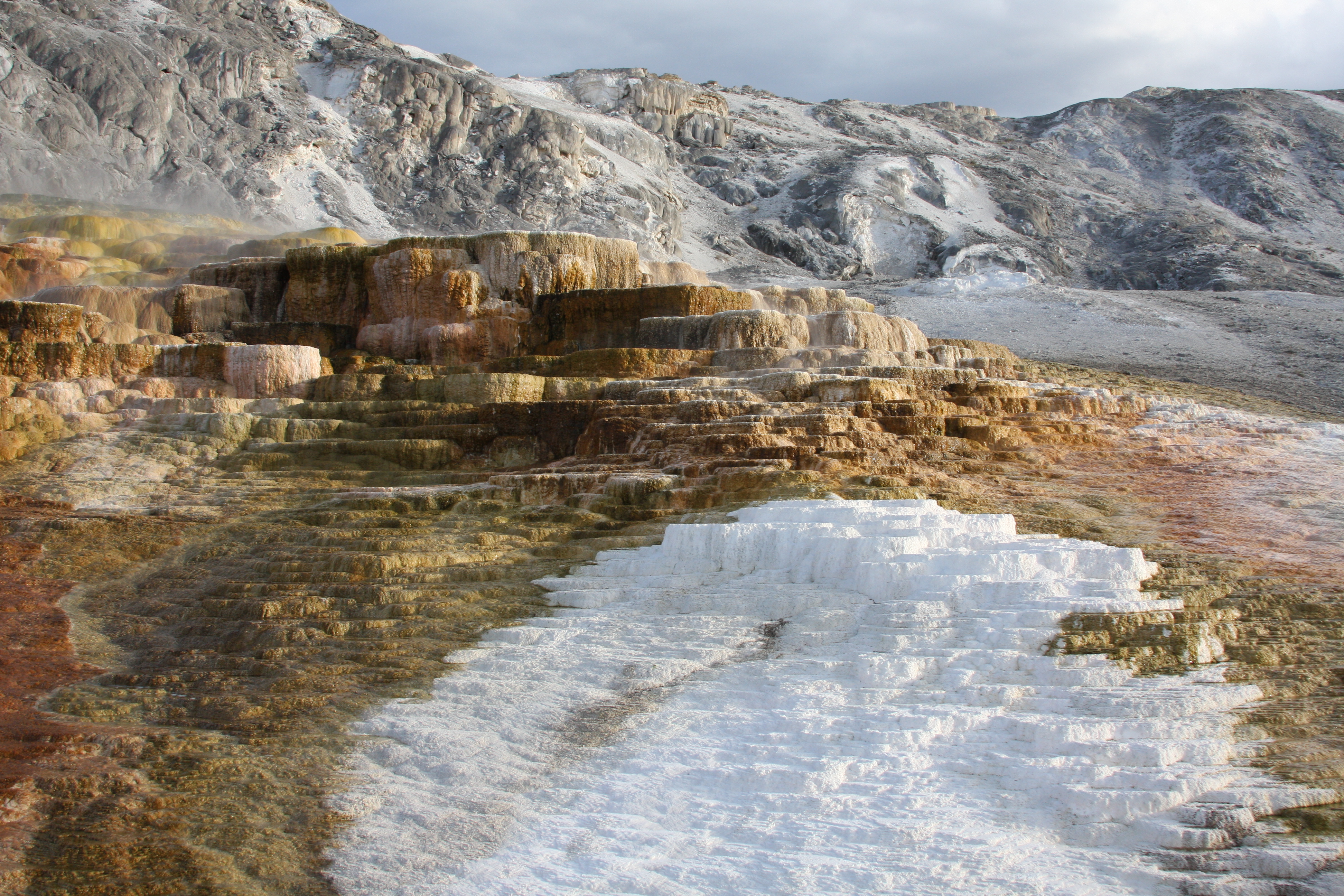 Yellowstone Day 2 038