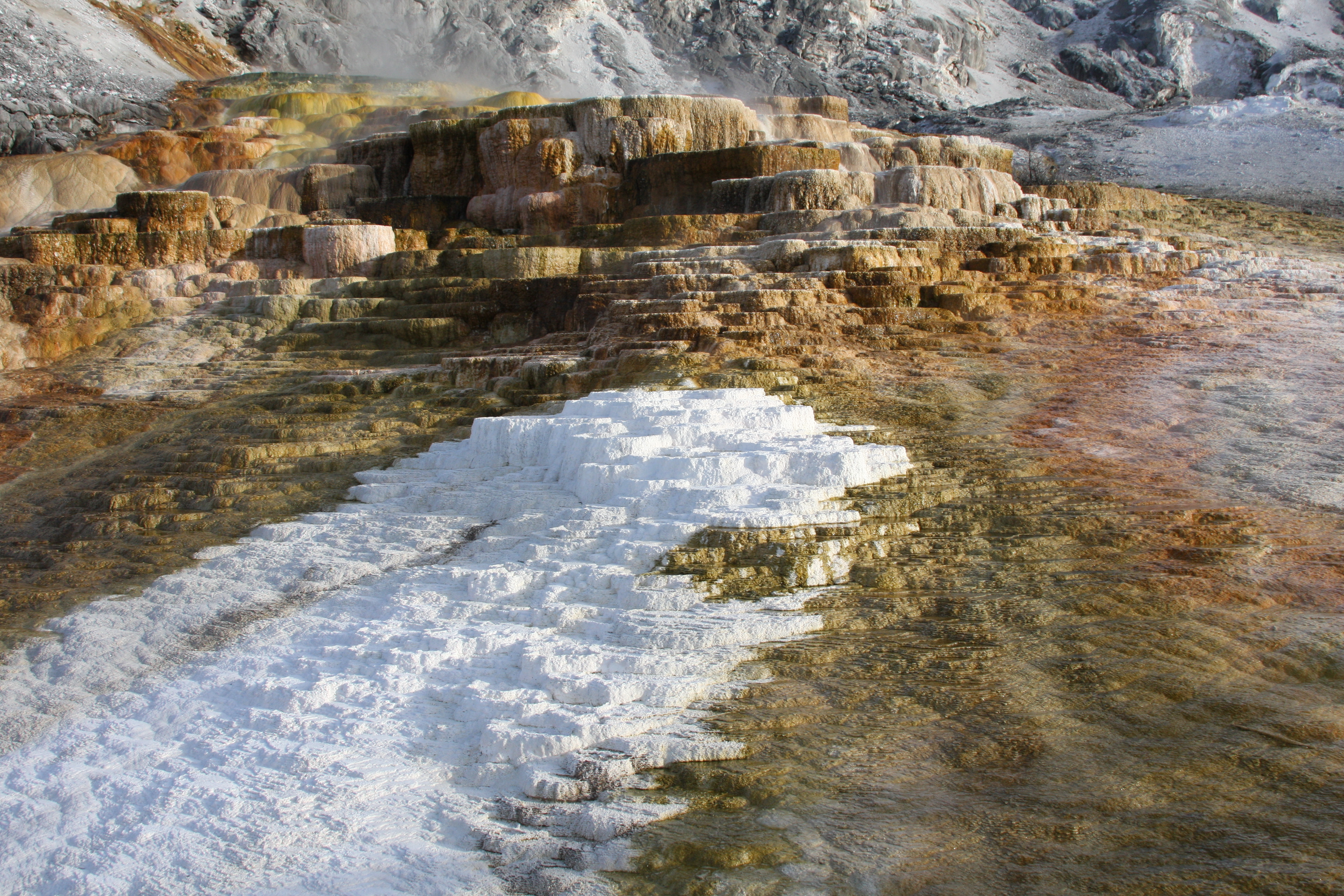 Yellowstone Day 2 039