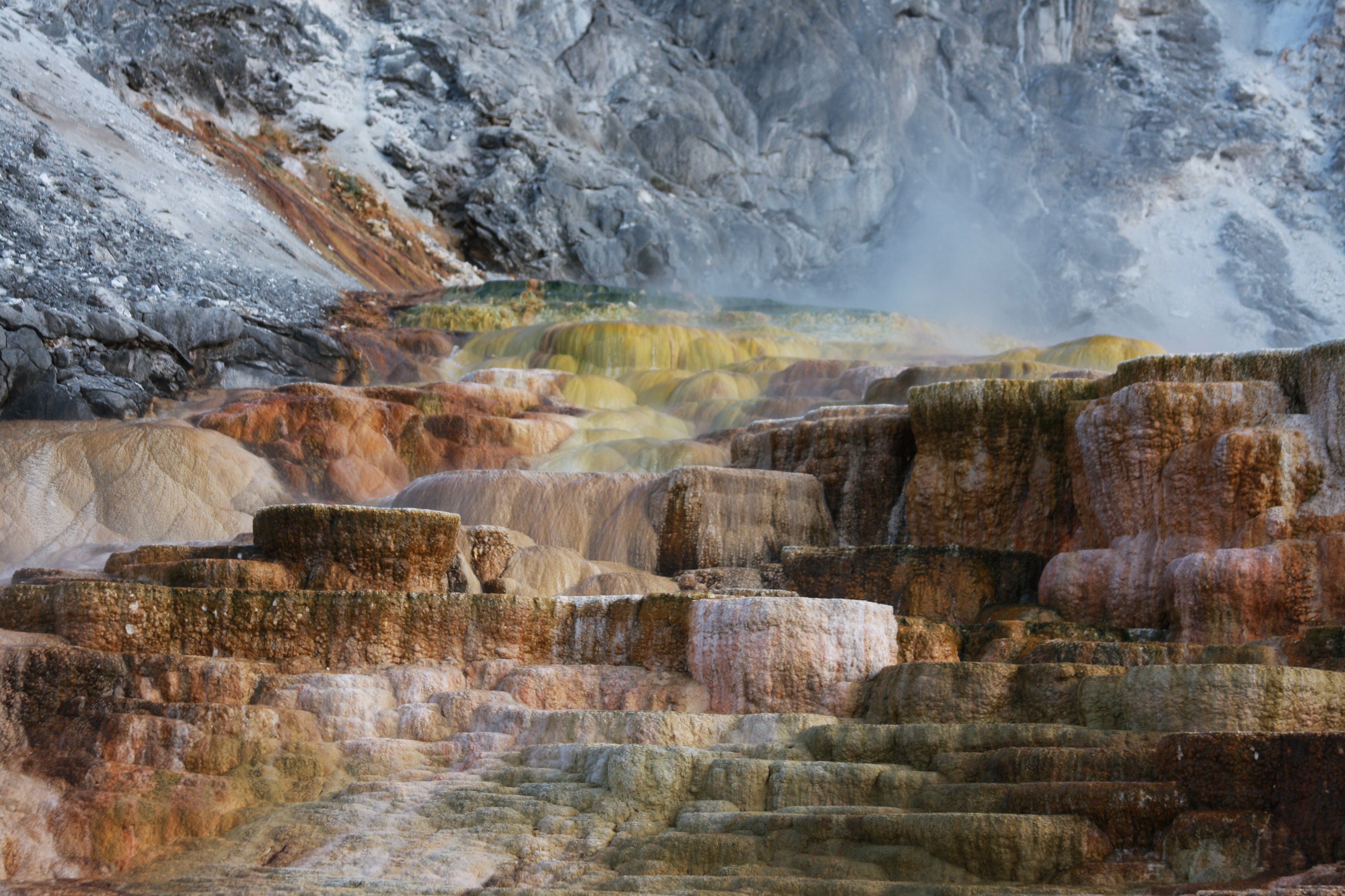 Yellowstone Day 2 041