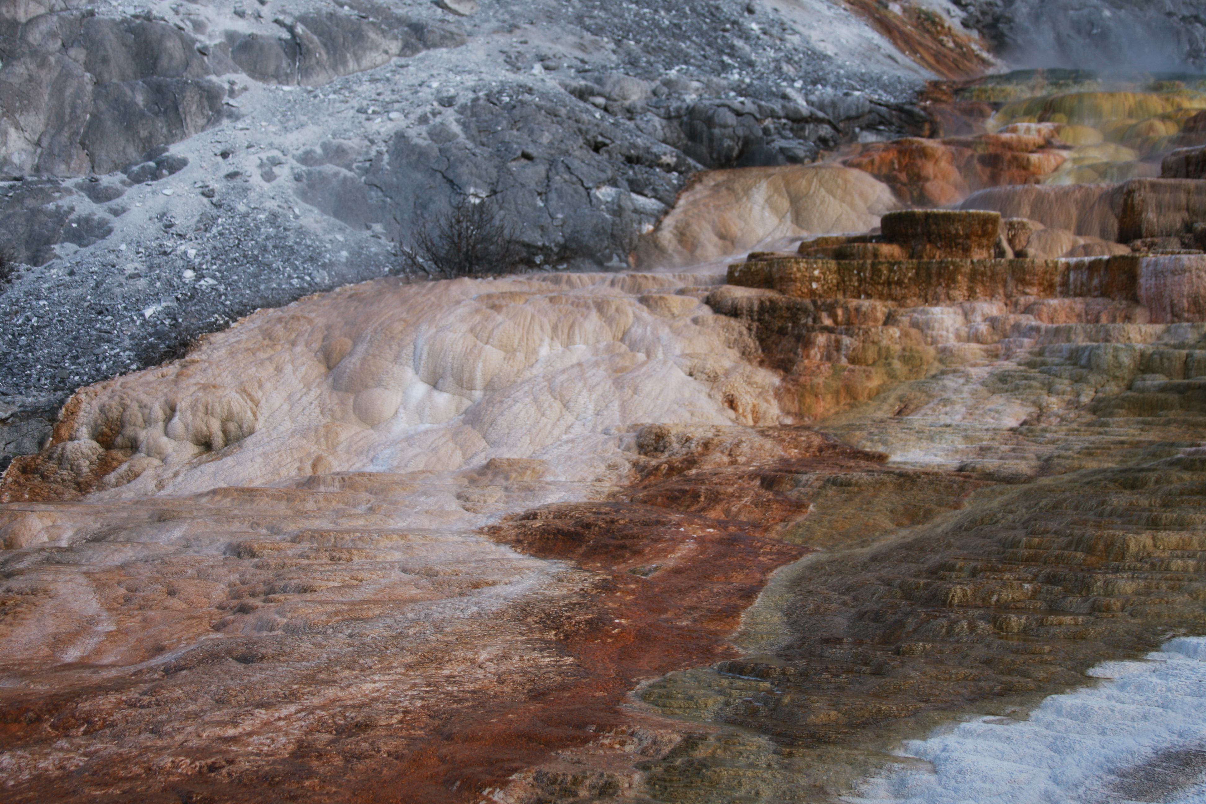 Yellowstone Day 2 043