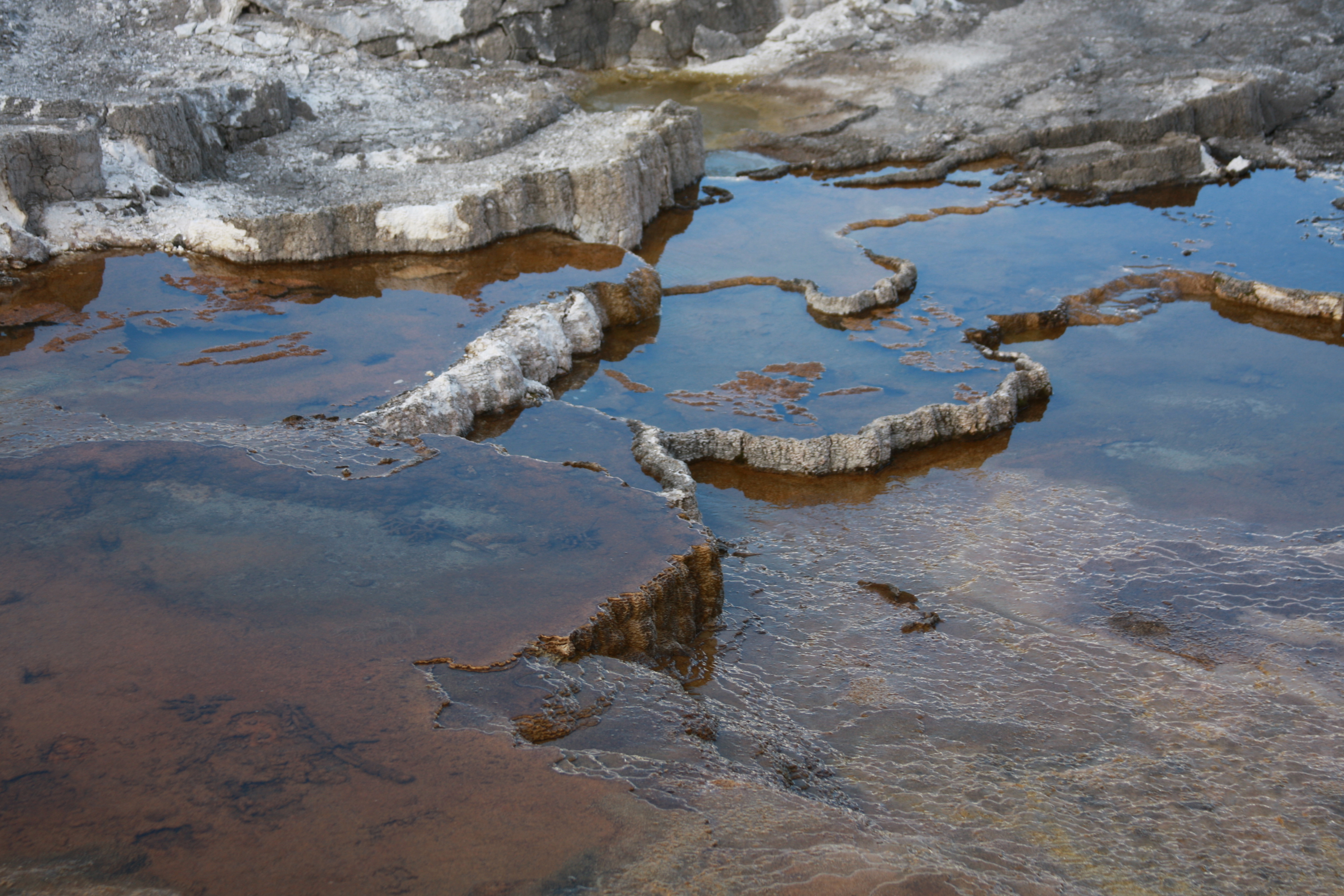 Yellowstone Day 2 044