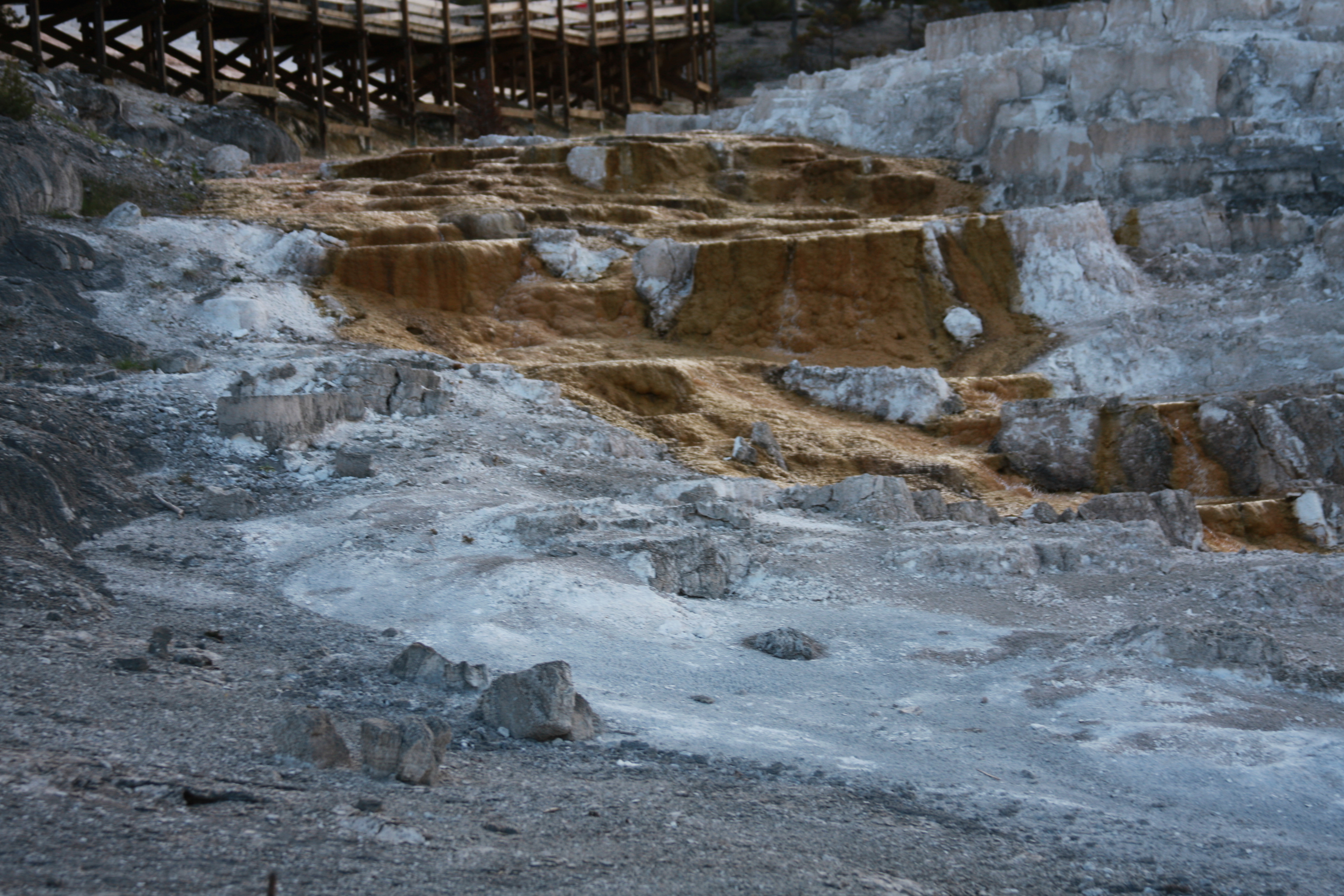 Yellowstone Day 2 049