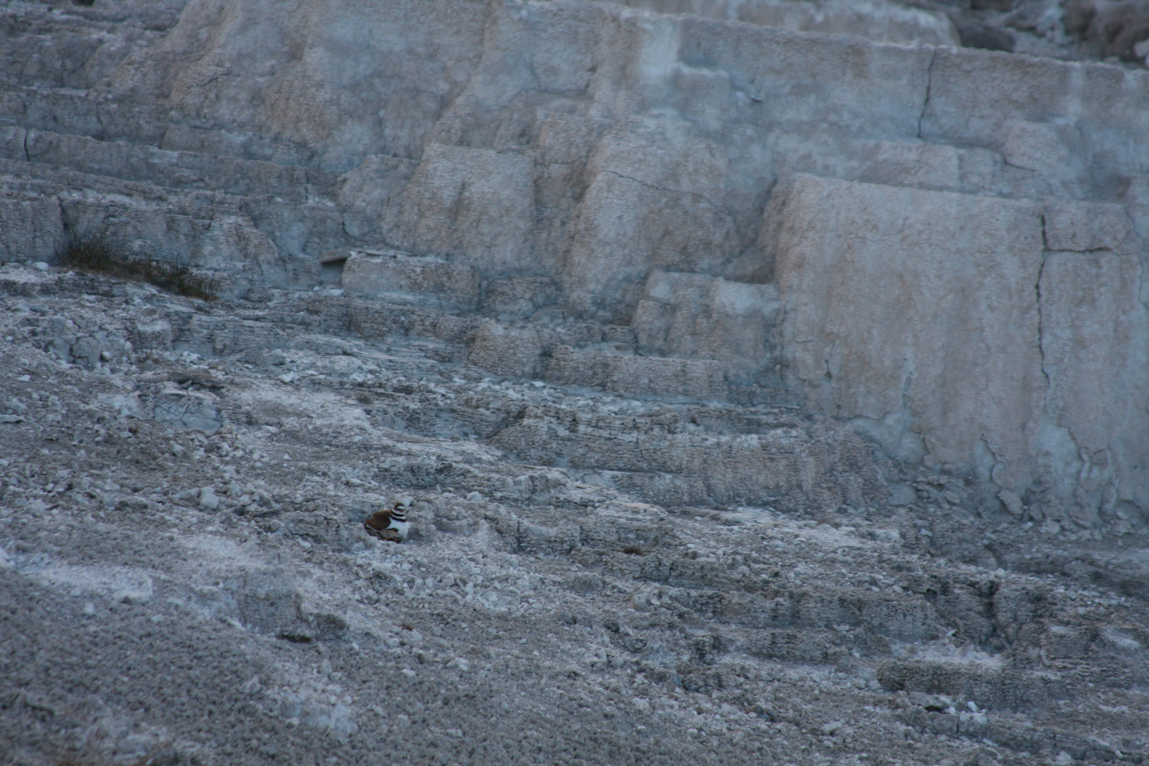 Yellowstone Day 2 050