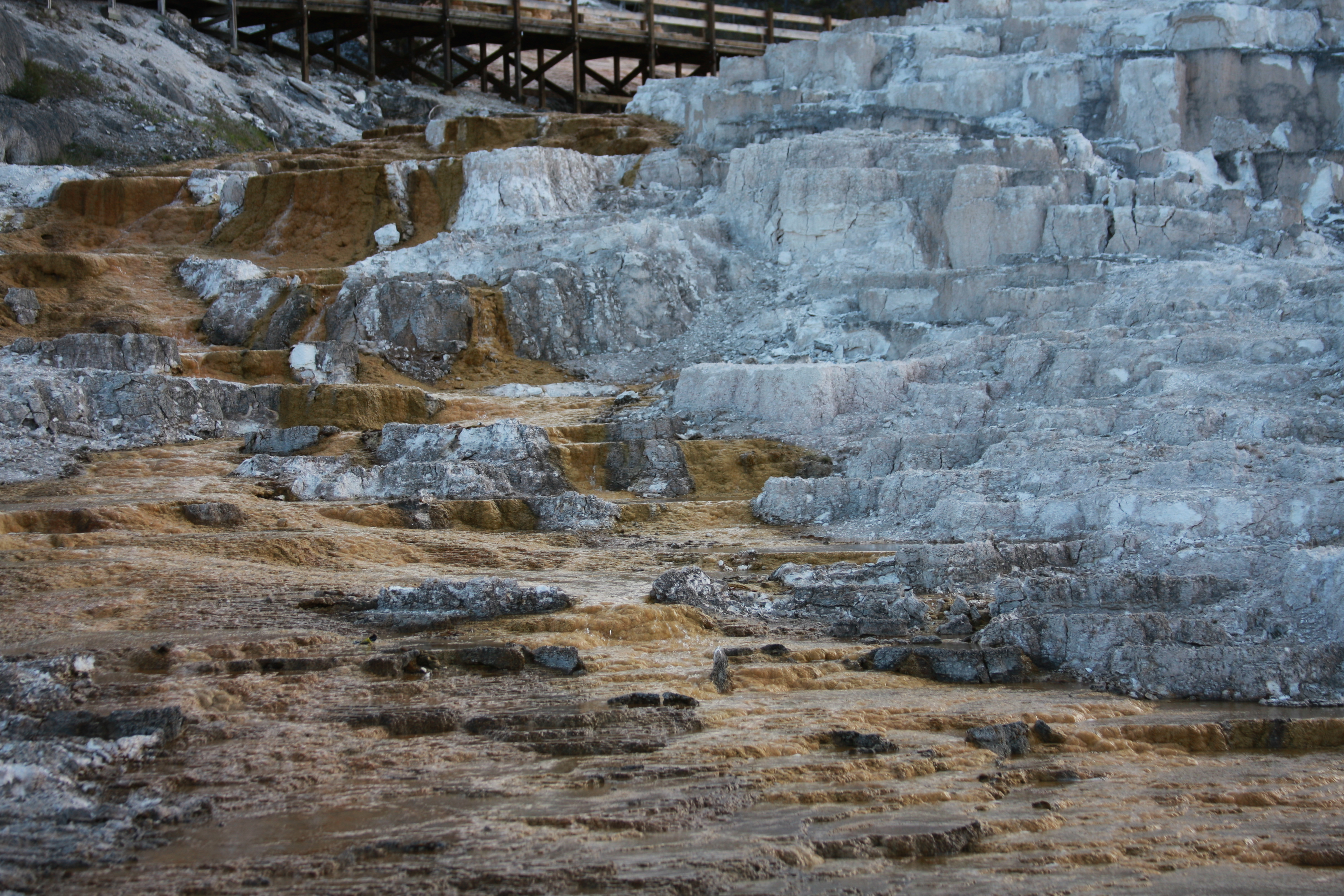 Yellowstone Day 2 051