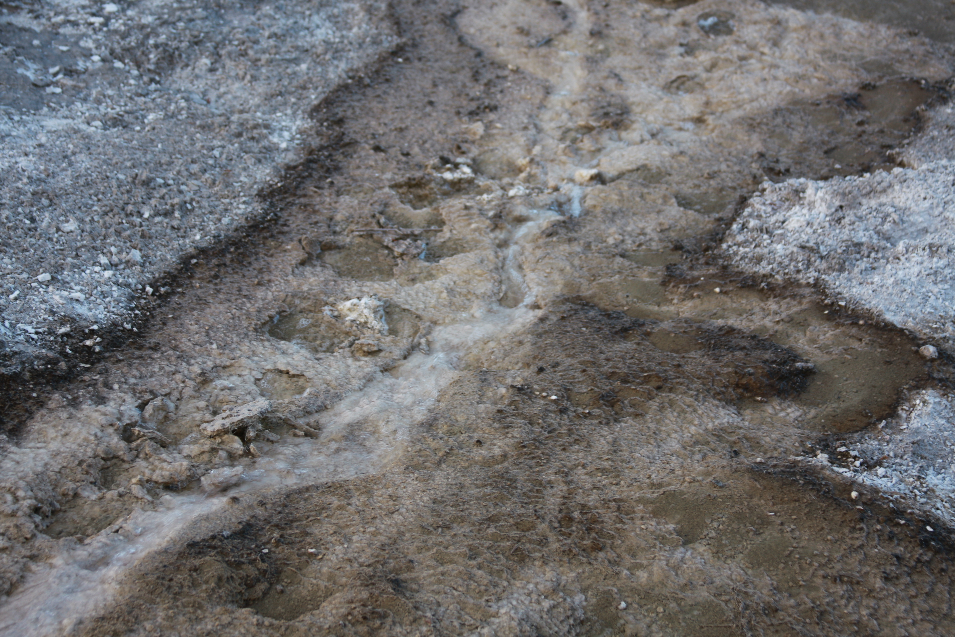 Yellowstone Day 2 053