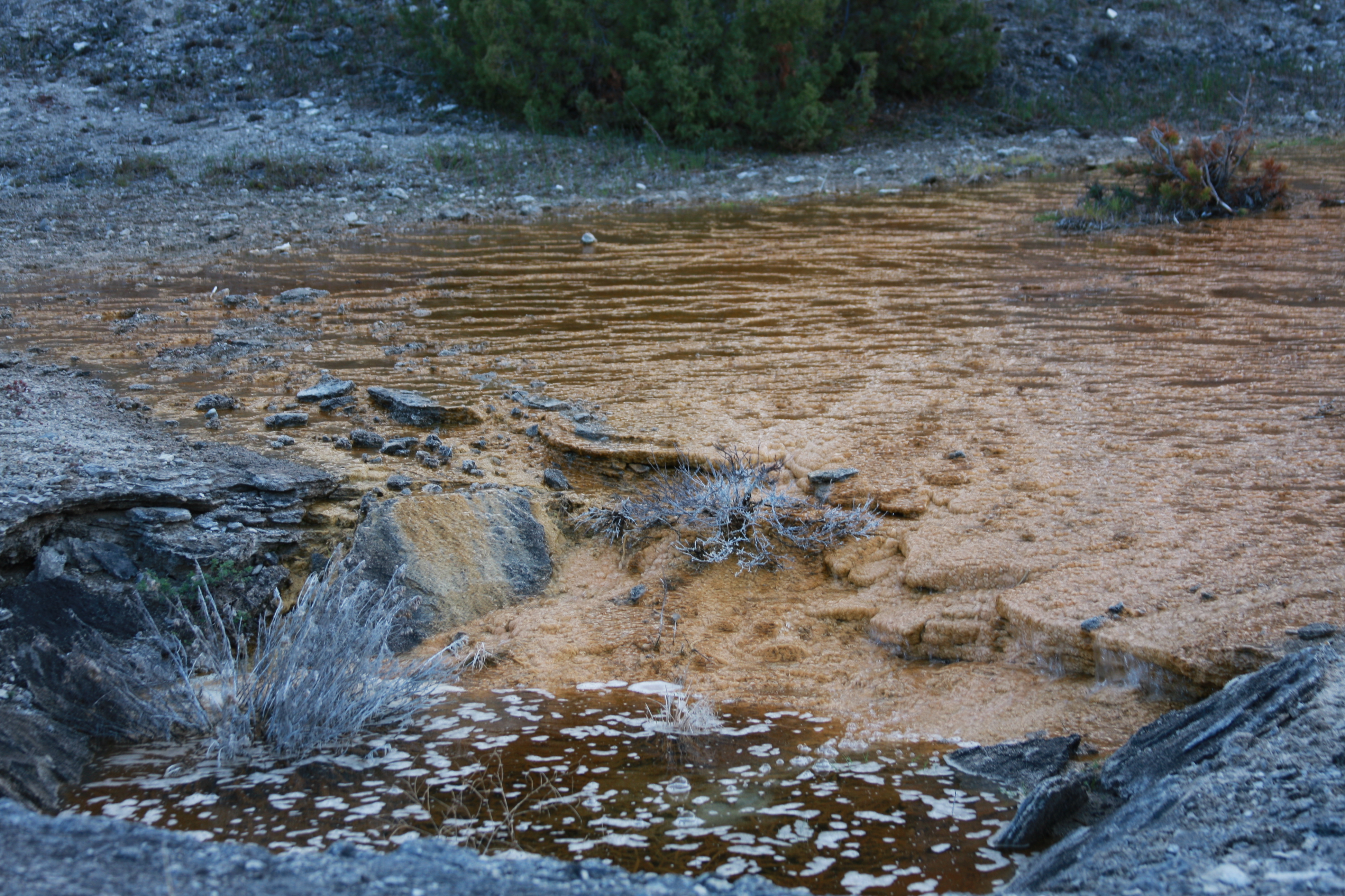 Yellowstone Day 2 057