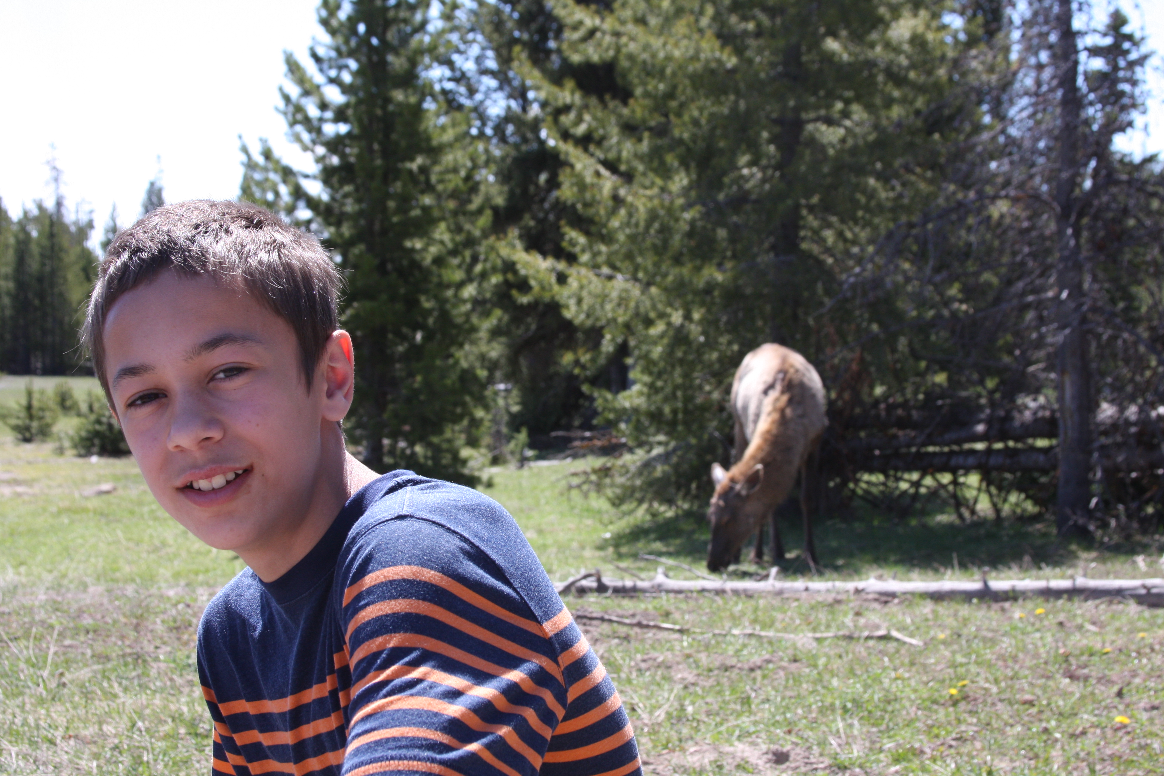 Yellowstone Day 3 027