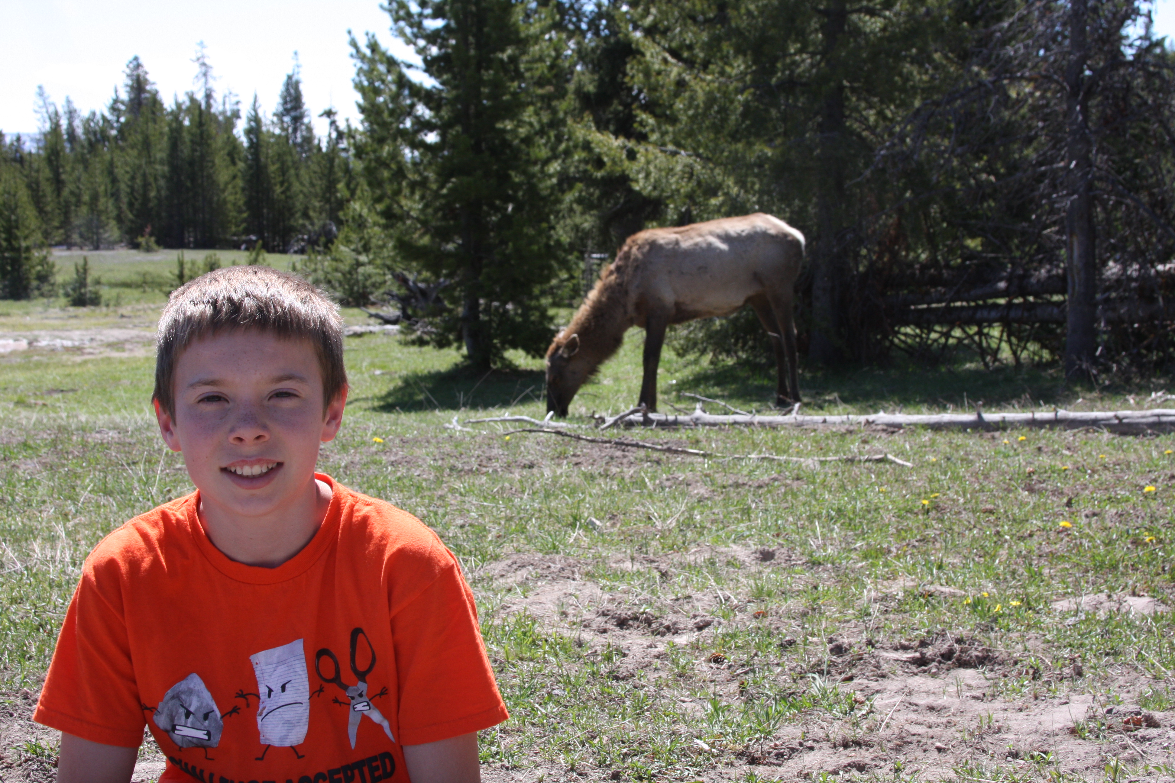 Yellowstone Day 3 029
