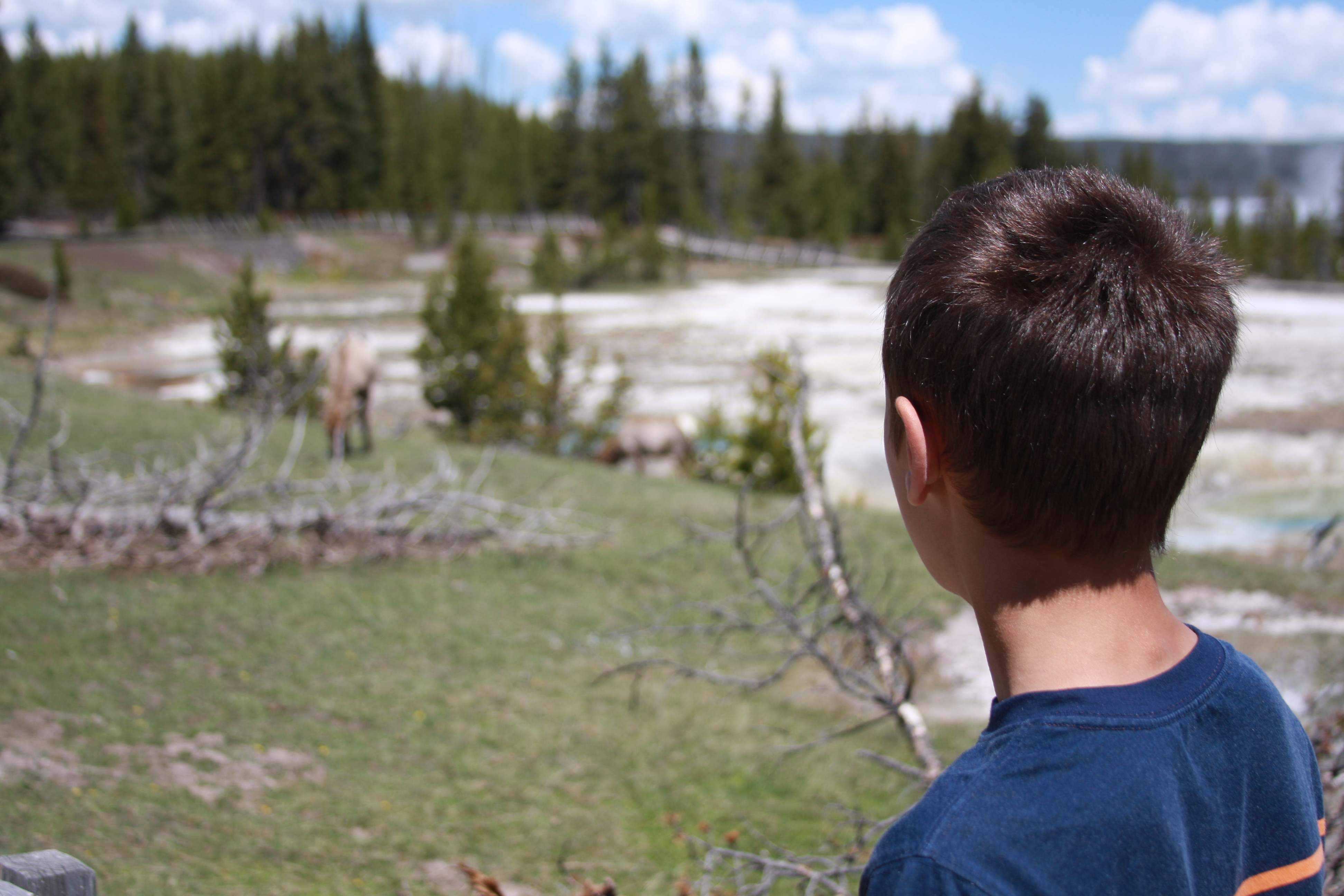 Yellowstone Day 3 041
