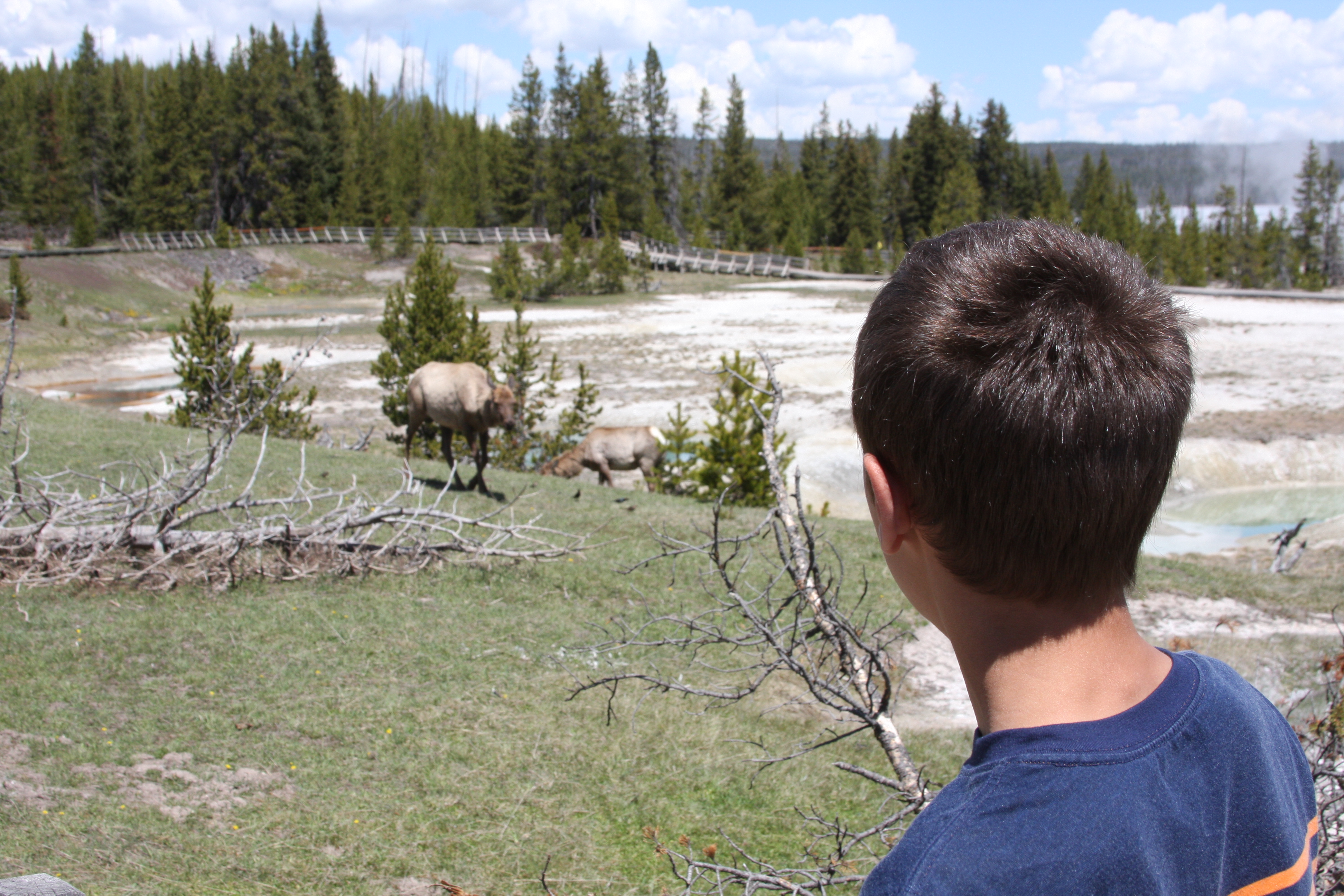 Yellowstone Day 3 042