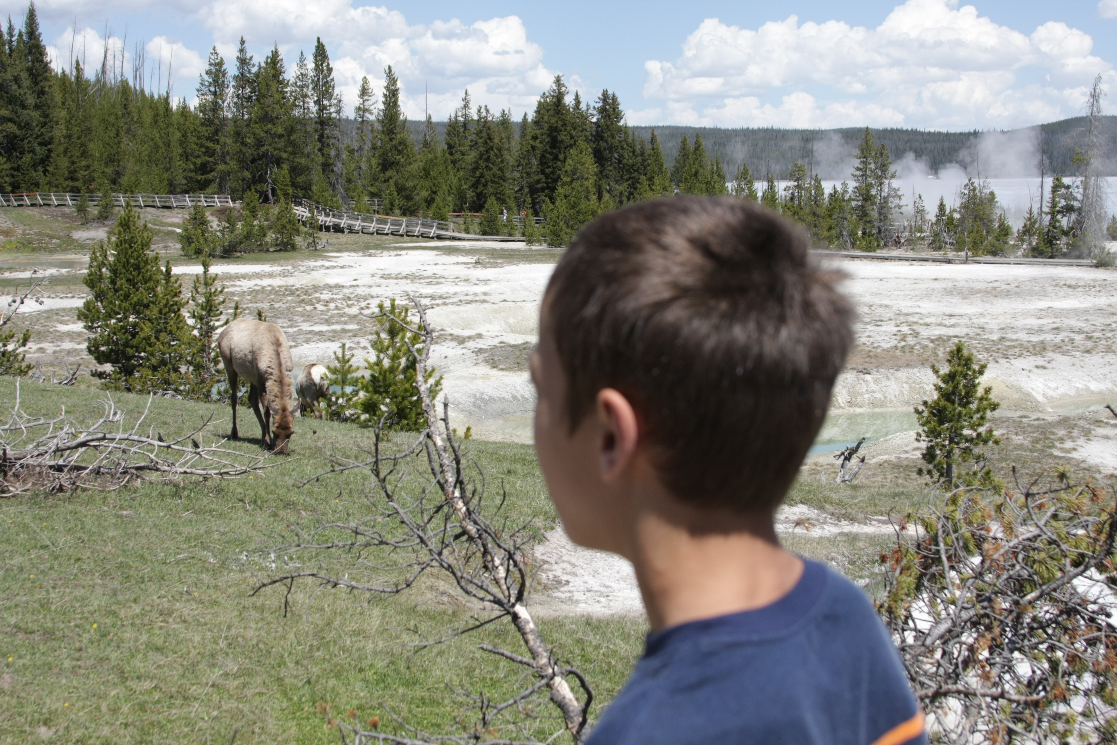 Yellowstone Day 3 043