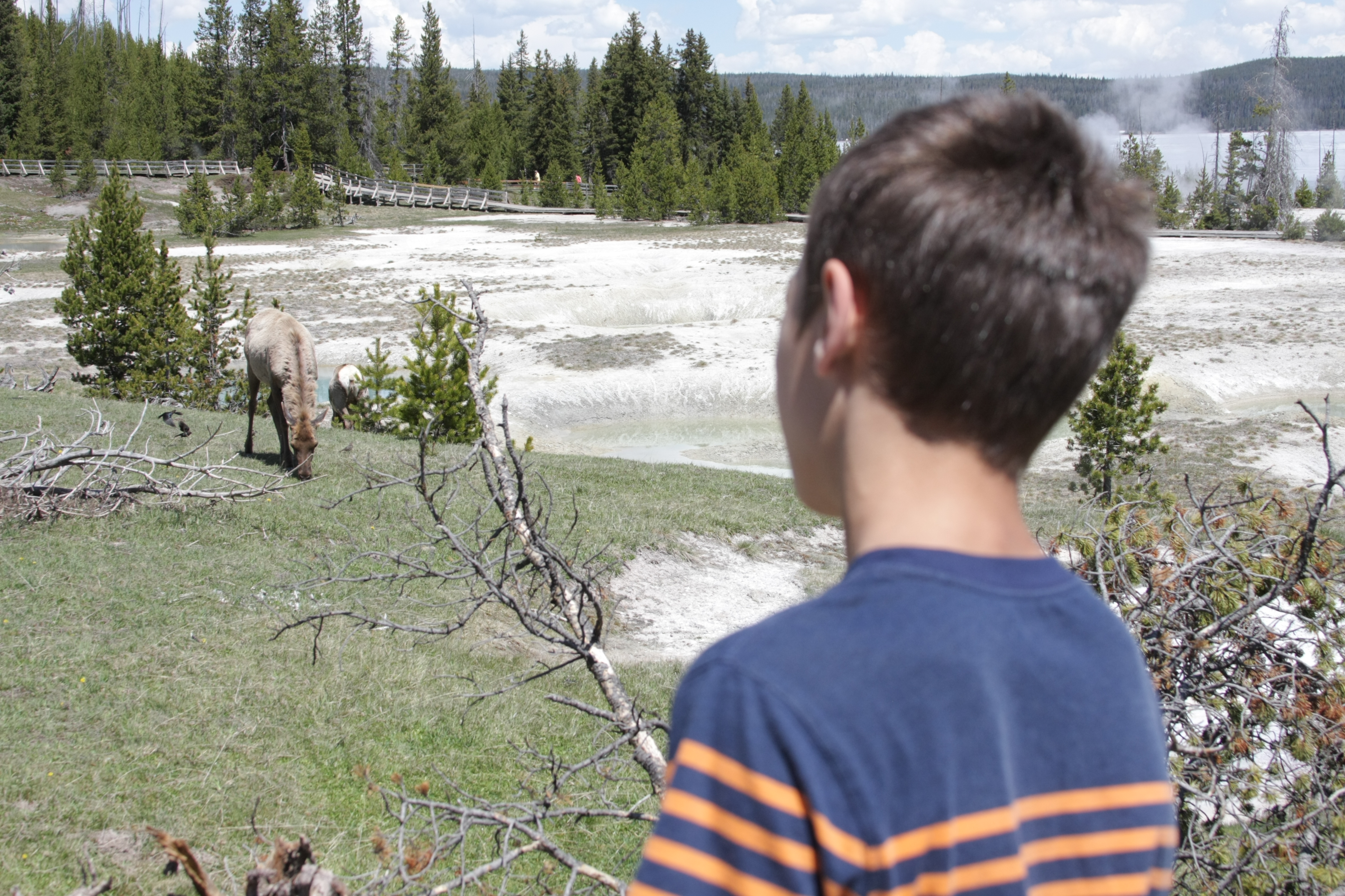 Yellowstone Day 3 044