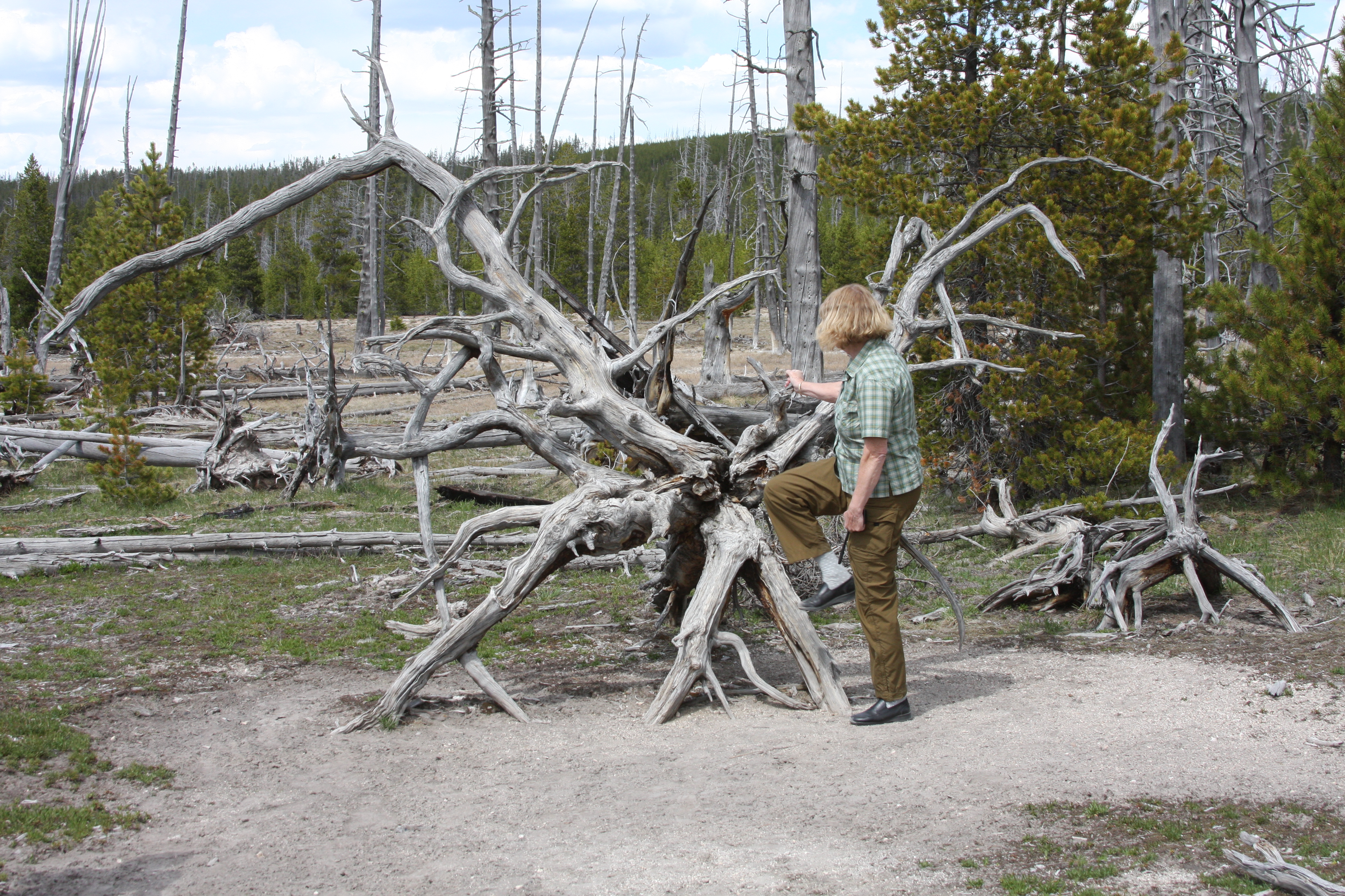 Yellowstone Day 3 045