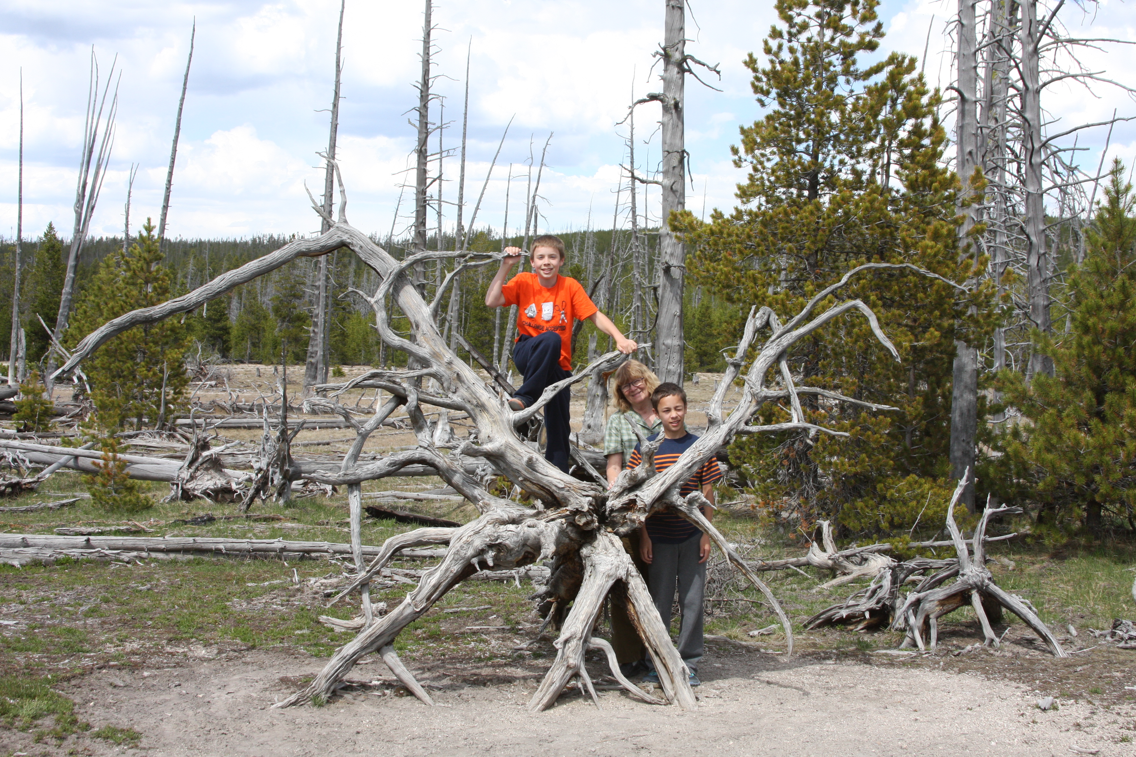 Yellowstone Day 3 046