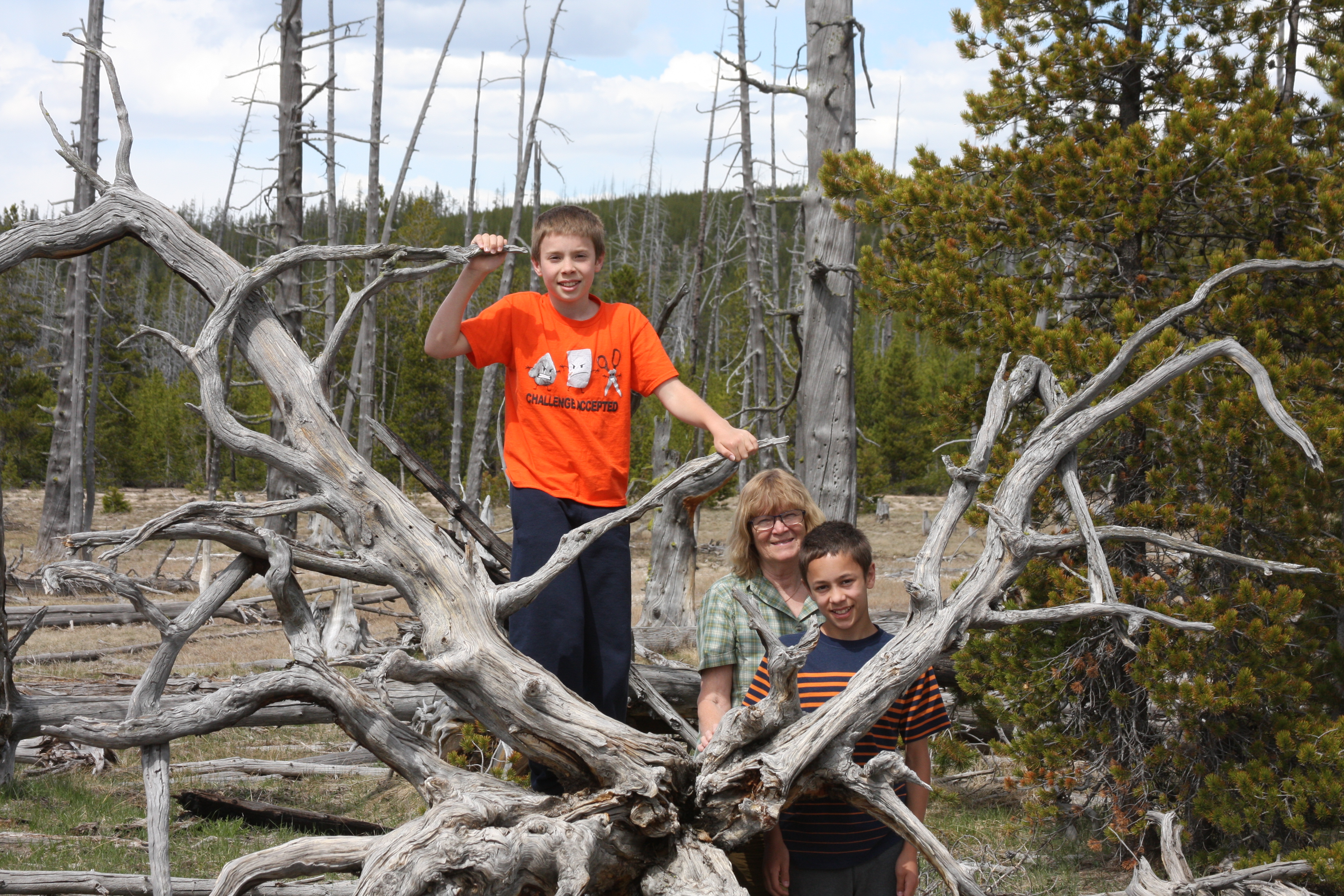 Yellowstone Day 3 047