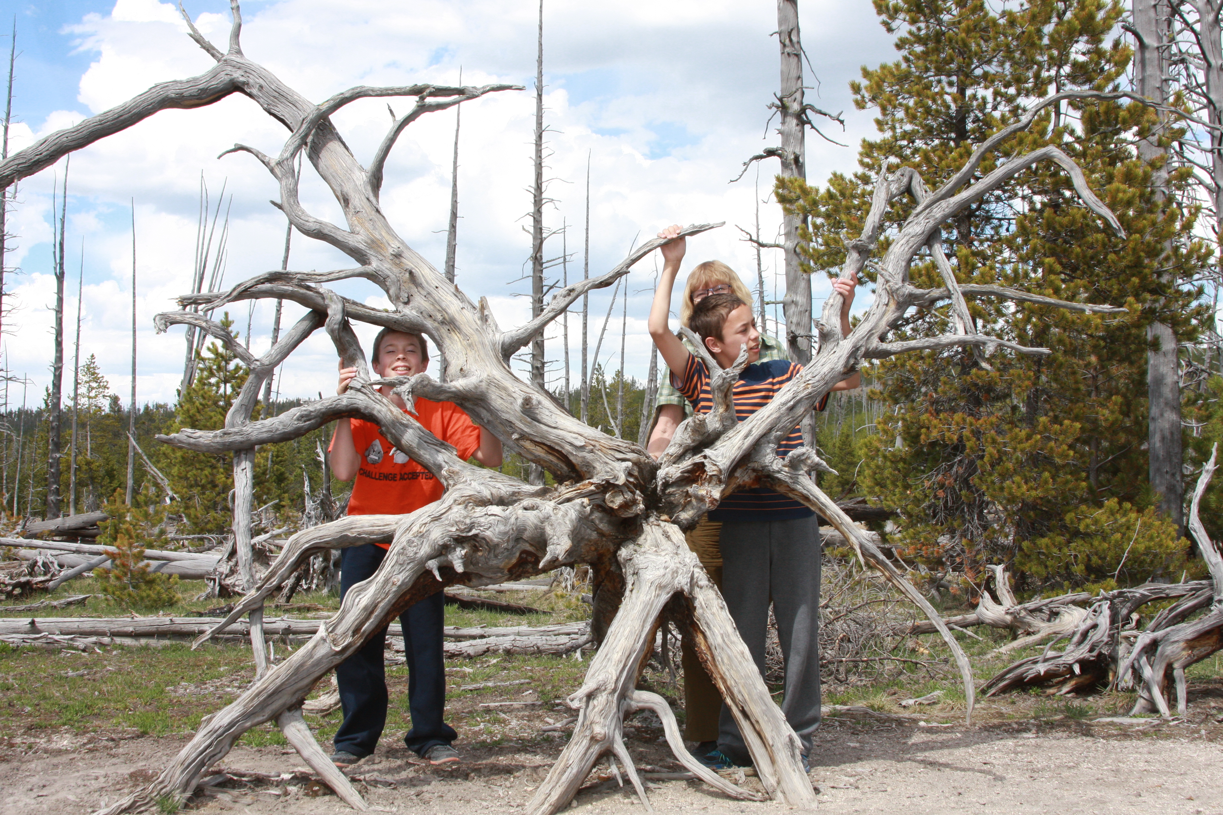 Yellowstone Day 3 049