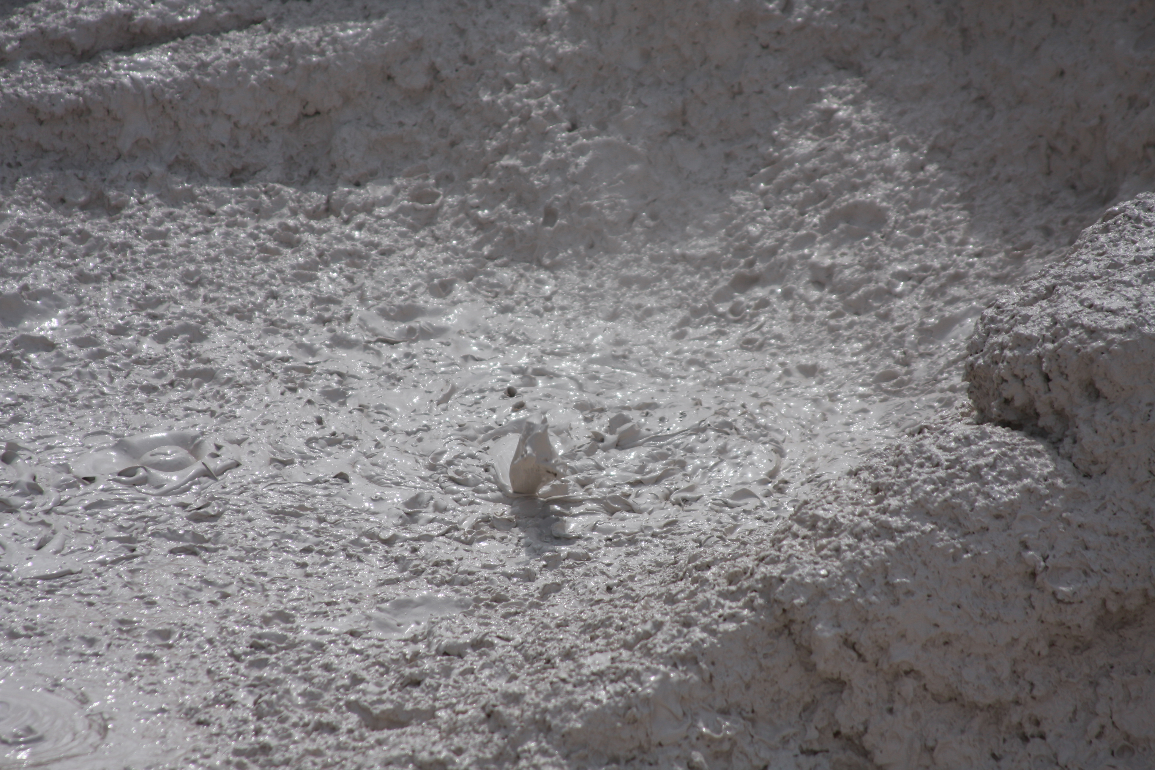 Yellowstone Day 3 060