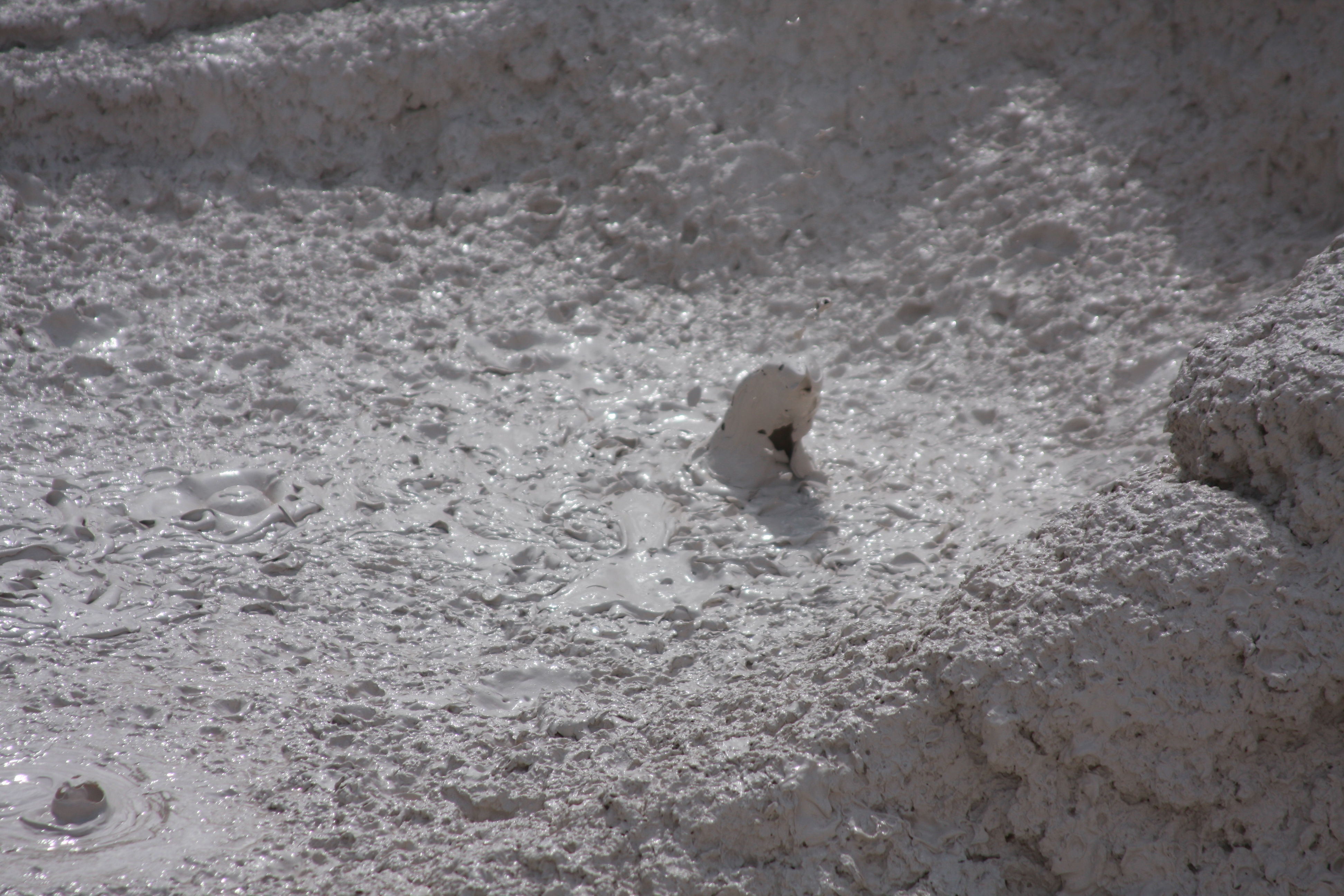 Yellowstone Day 3 061