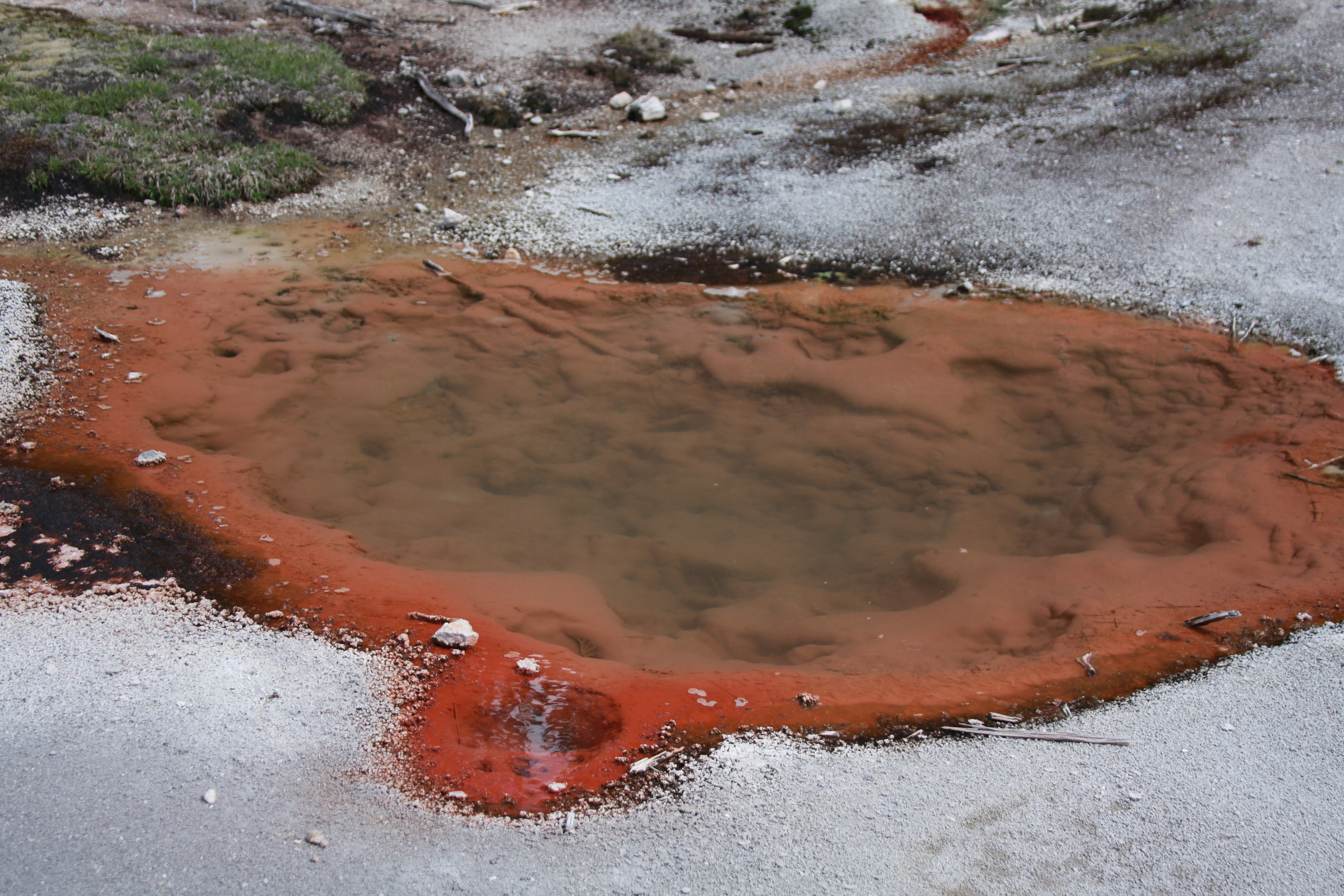 Yellowstone Day 3 064