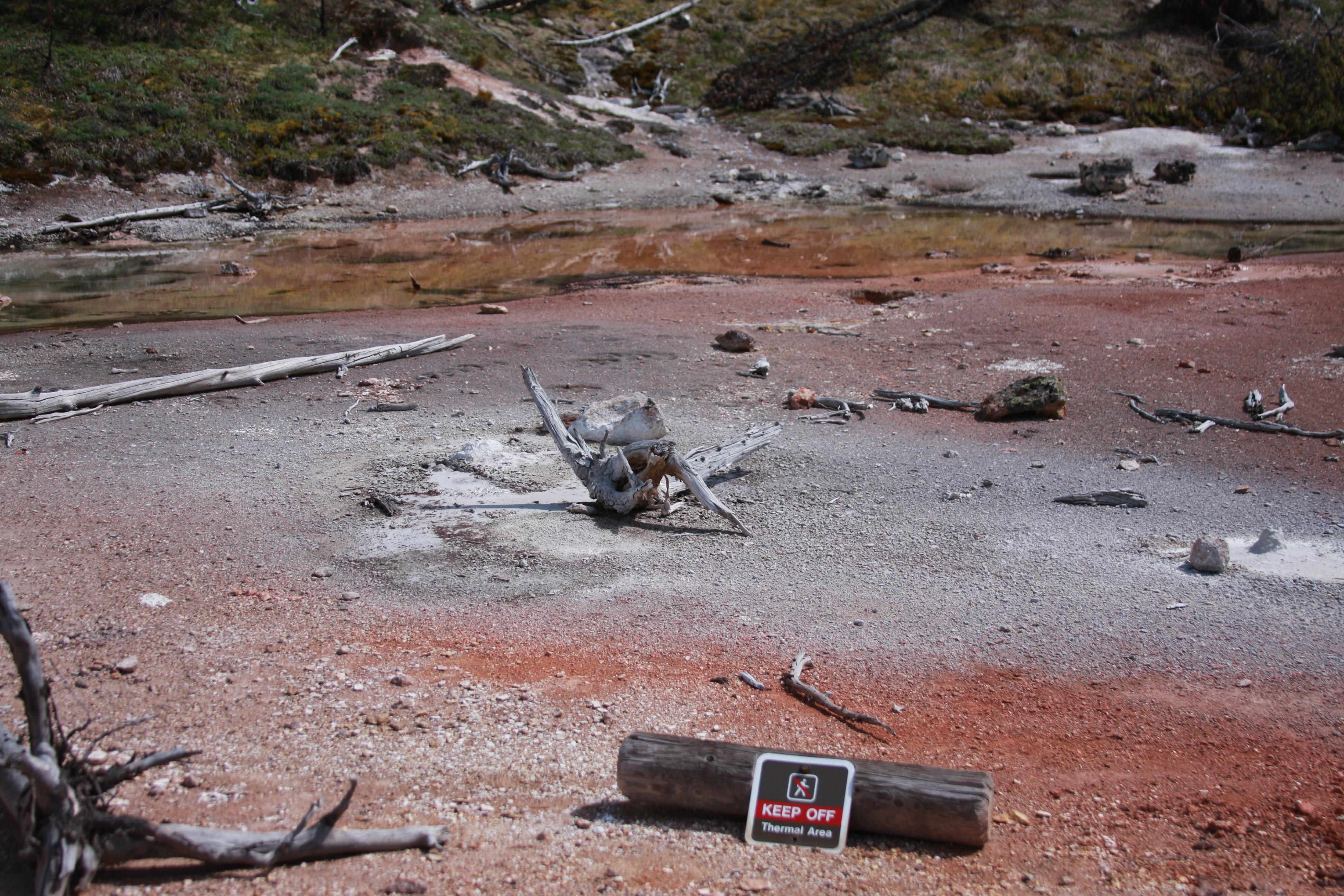 Yellowstone Day 3 081