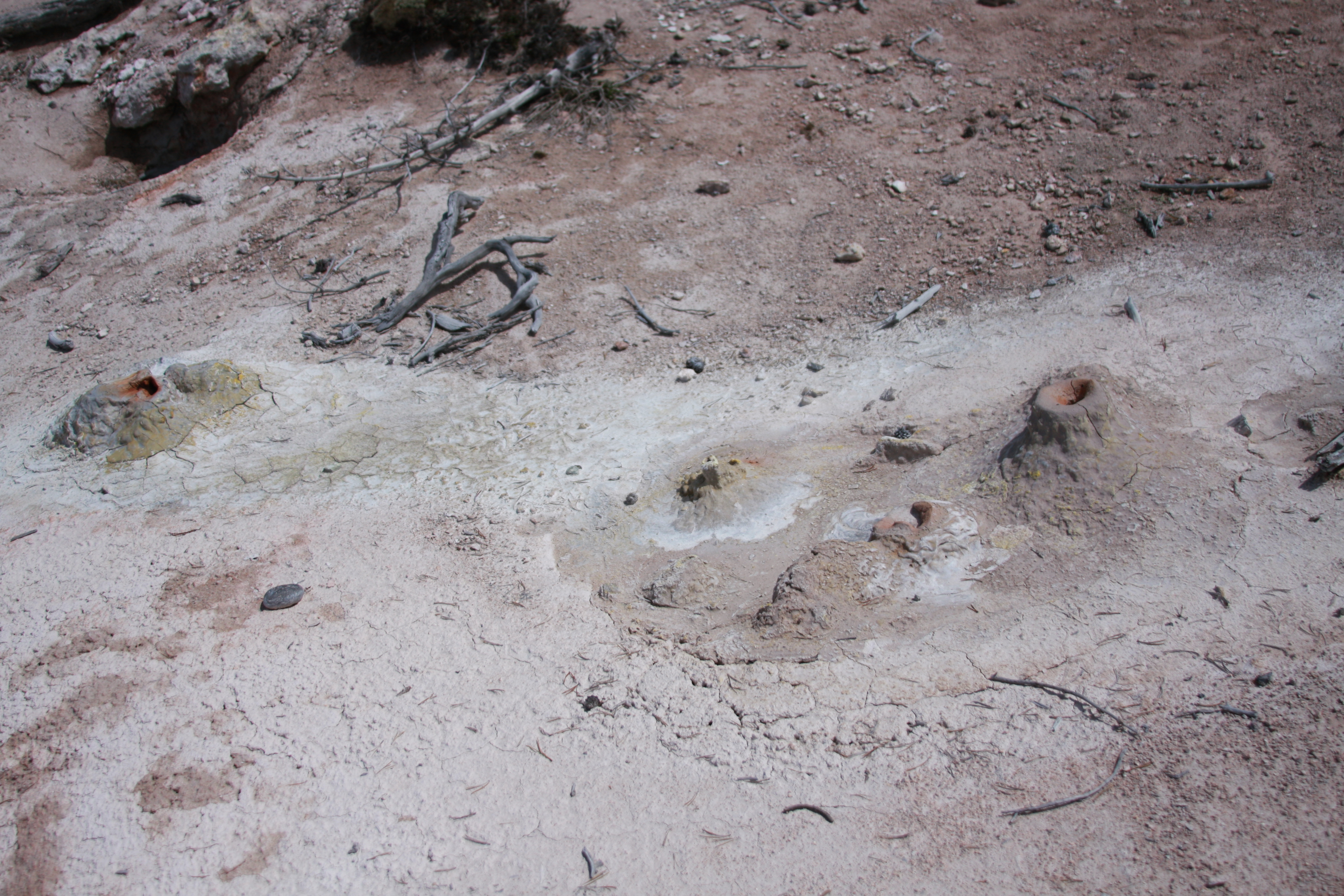 Yellowstone Day 3 082