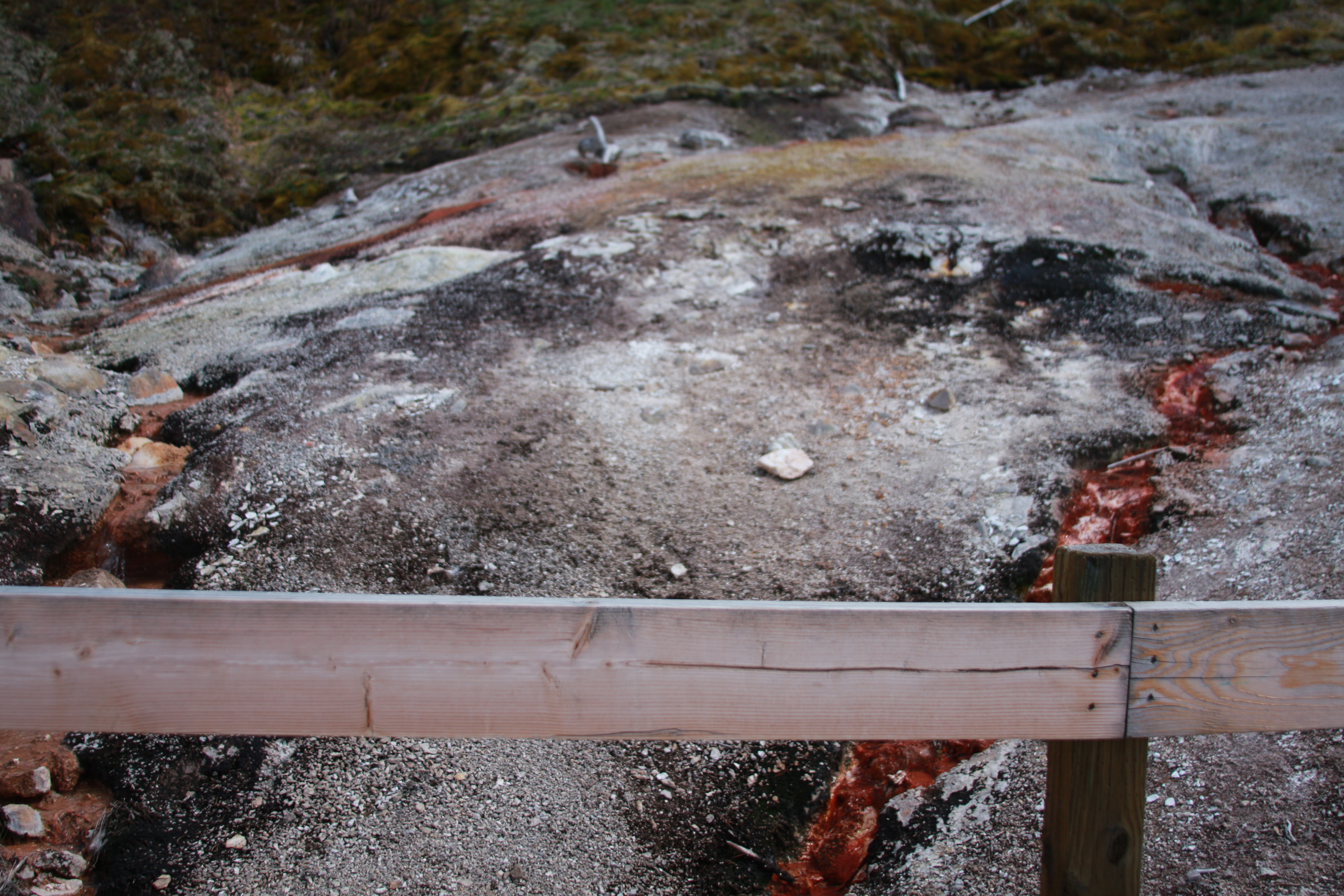 Yellowstone Day 3 085