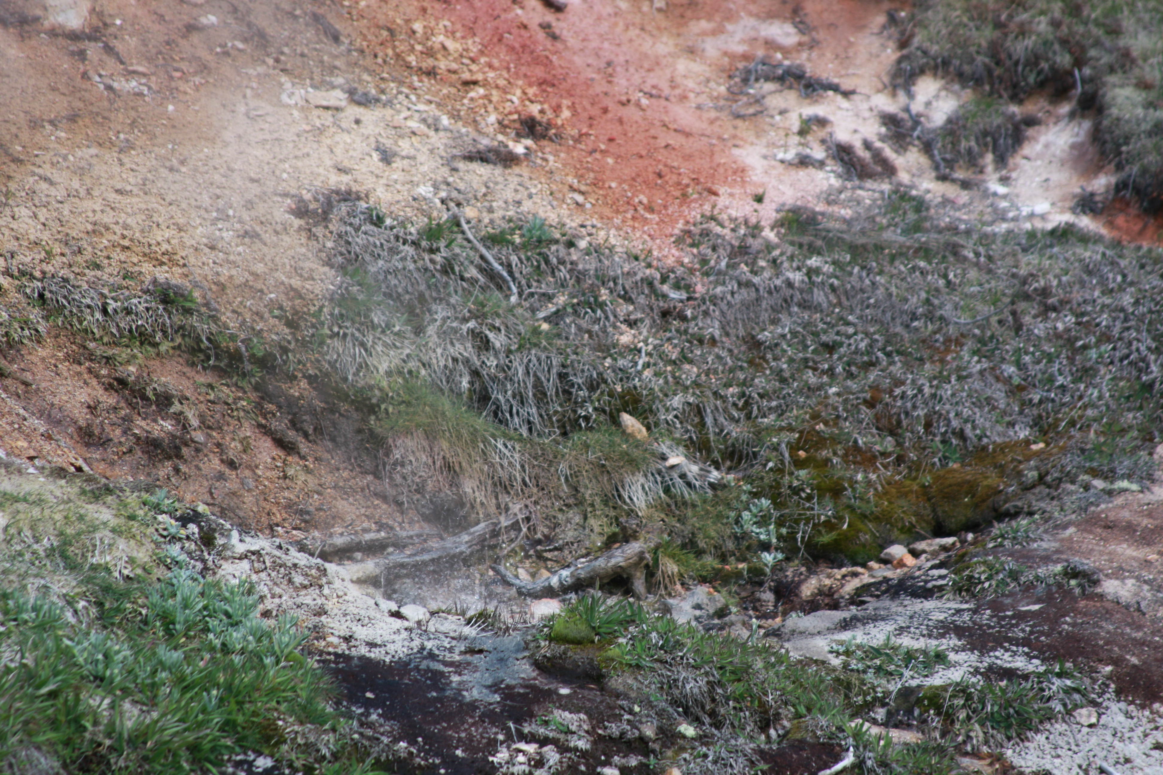 Yellowstone Day 3 086