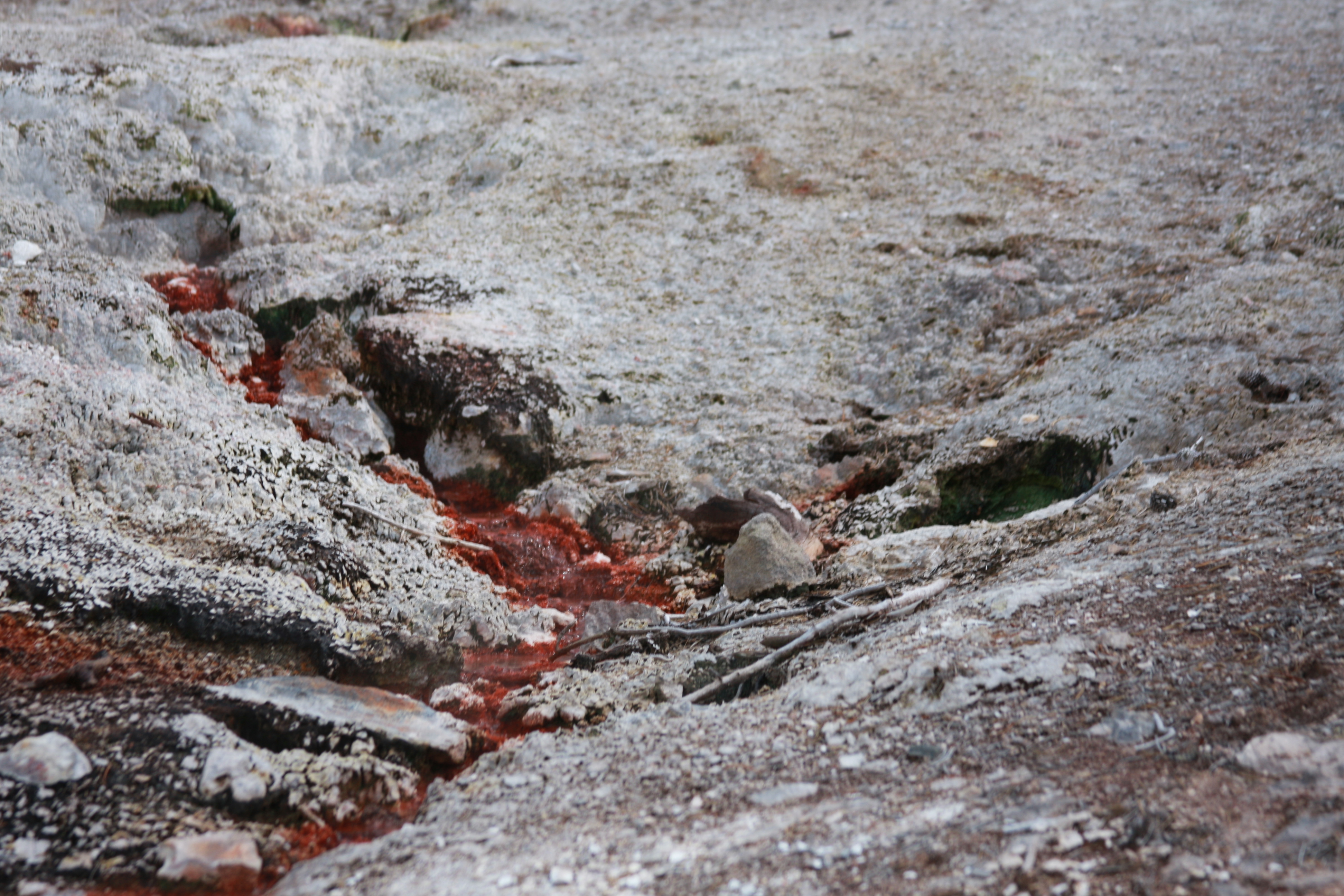 Yellowstone Day 3 087