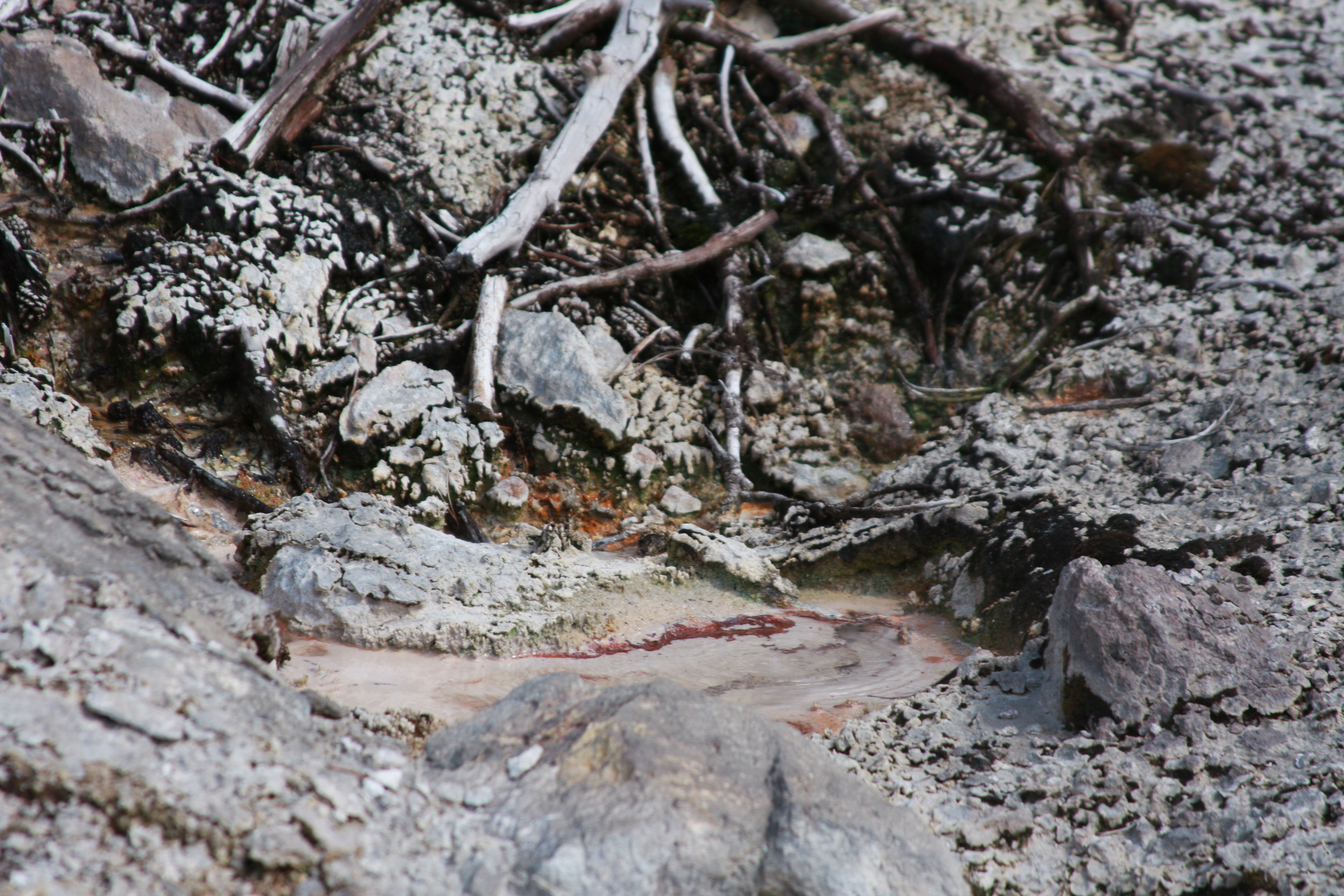 Yellowstone Day 3 089