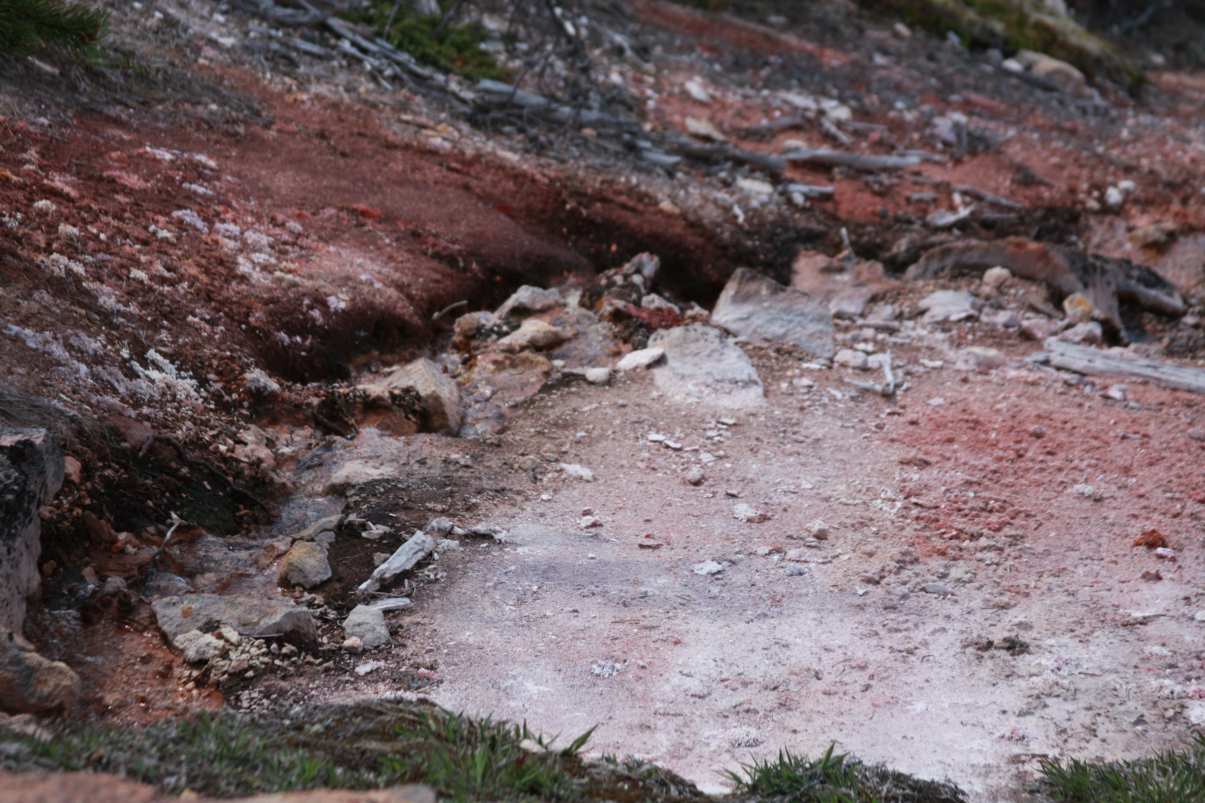 Yellowstone Day 3 090