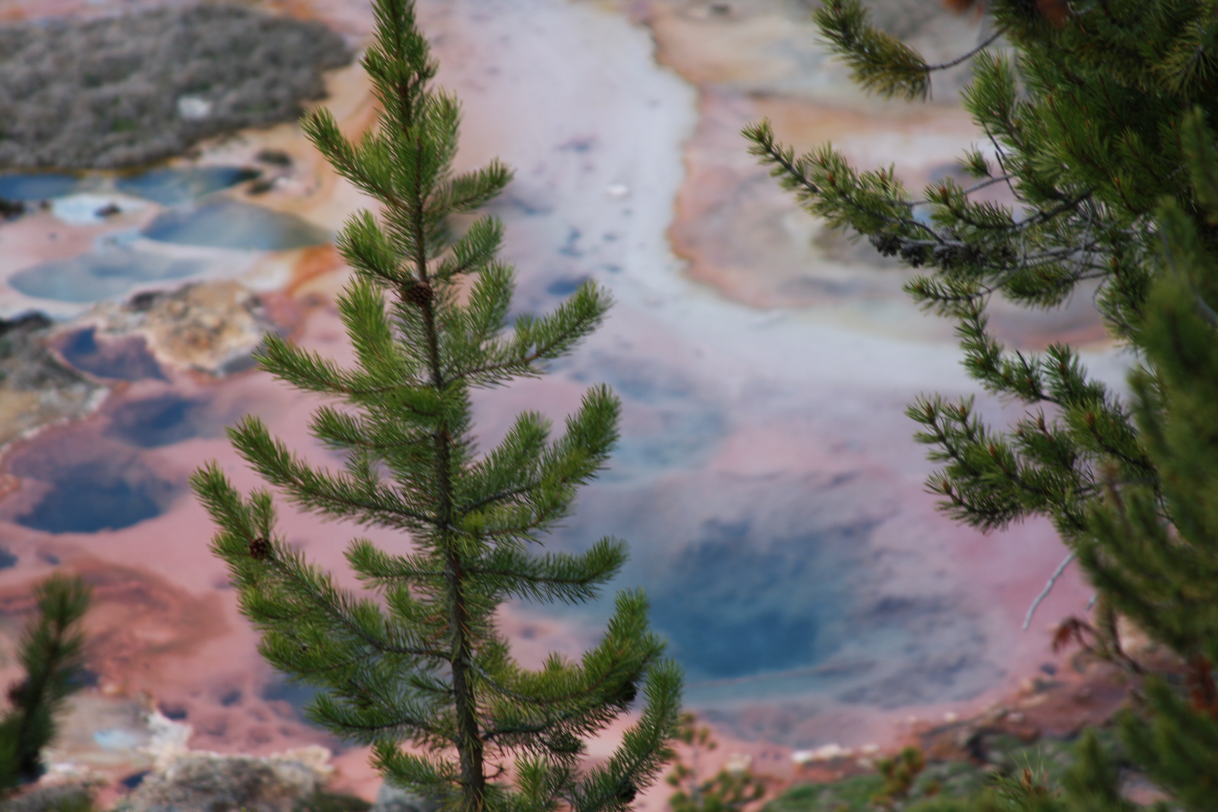 Yellowstone Day 3 091