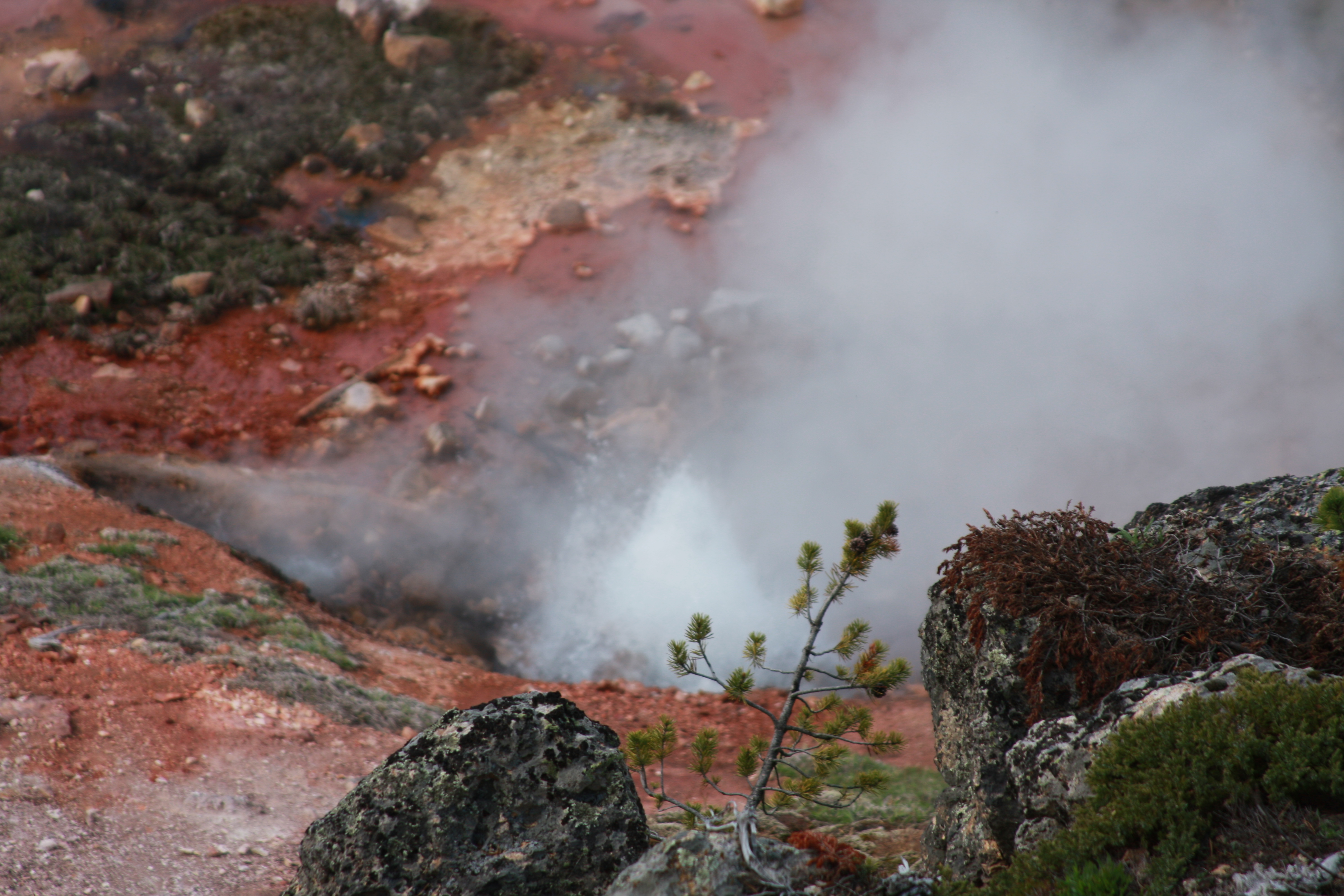 Yellowstone Day 3 093