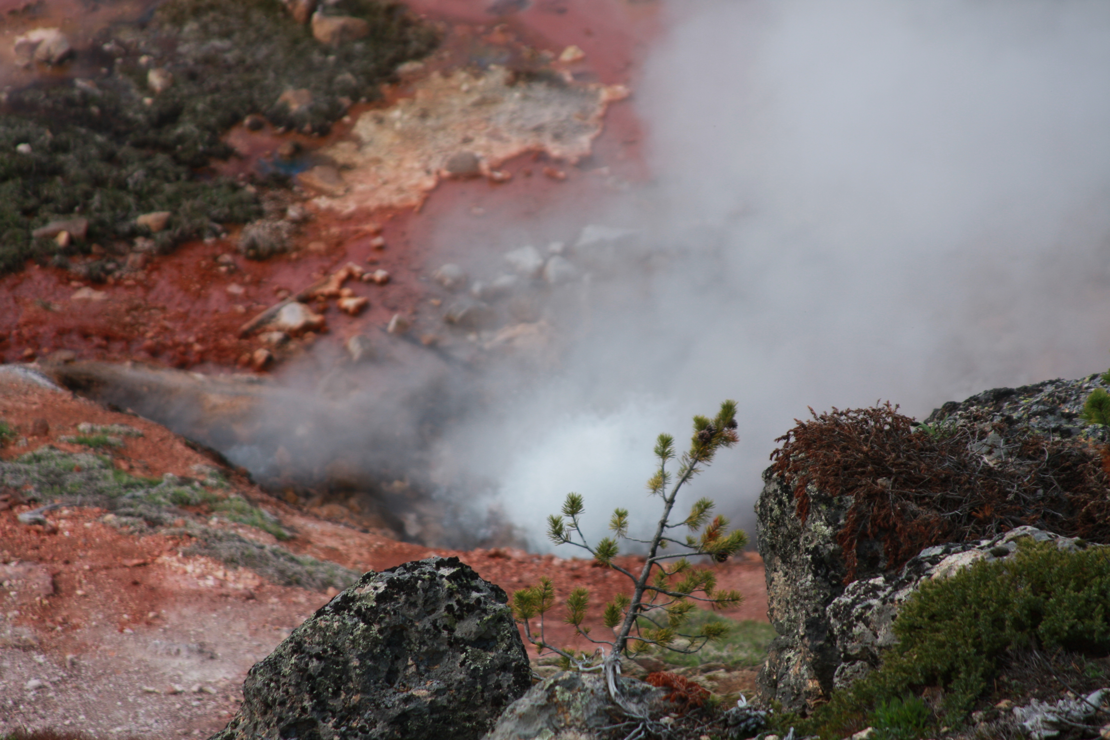 Yellowstone Day 3 094