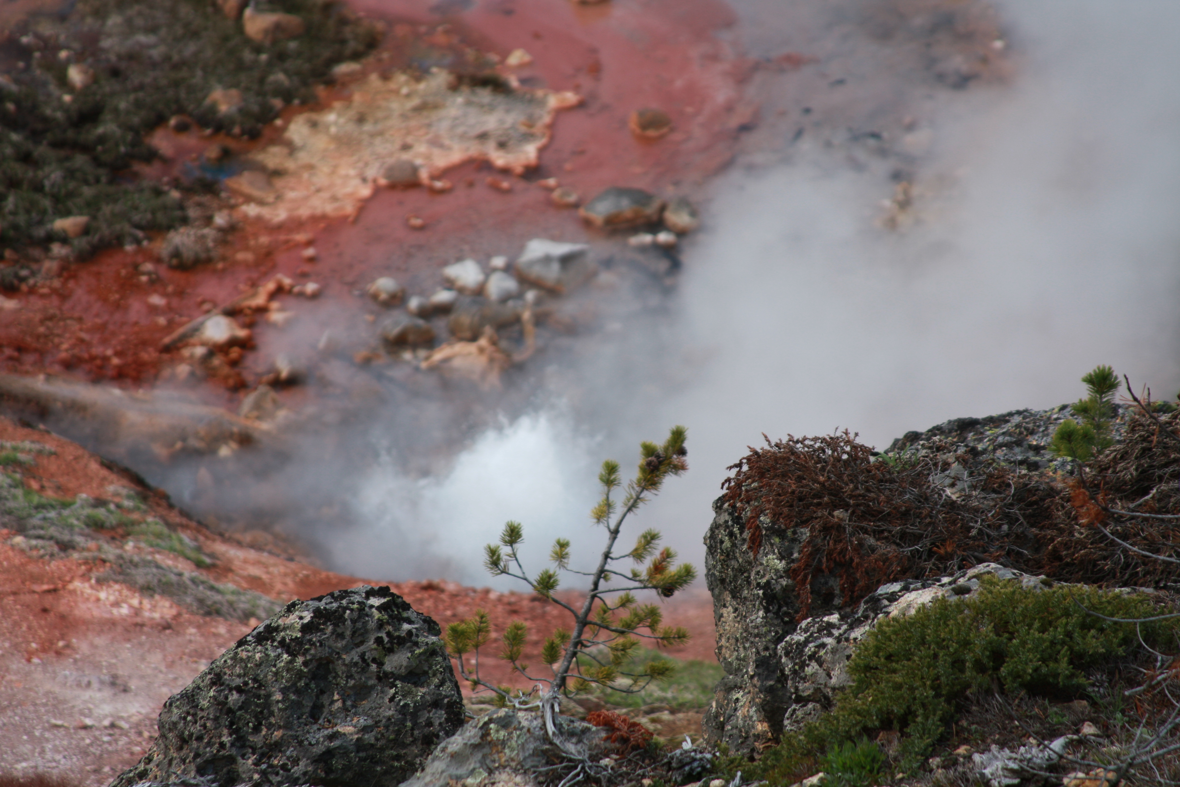 Yellowstone Day 3 095